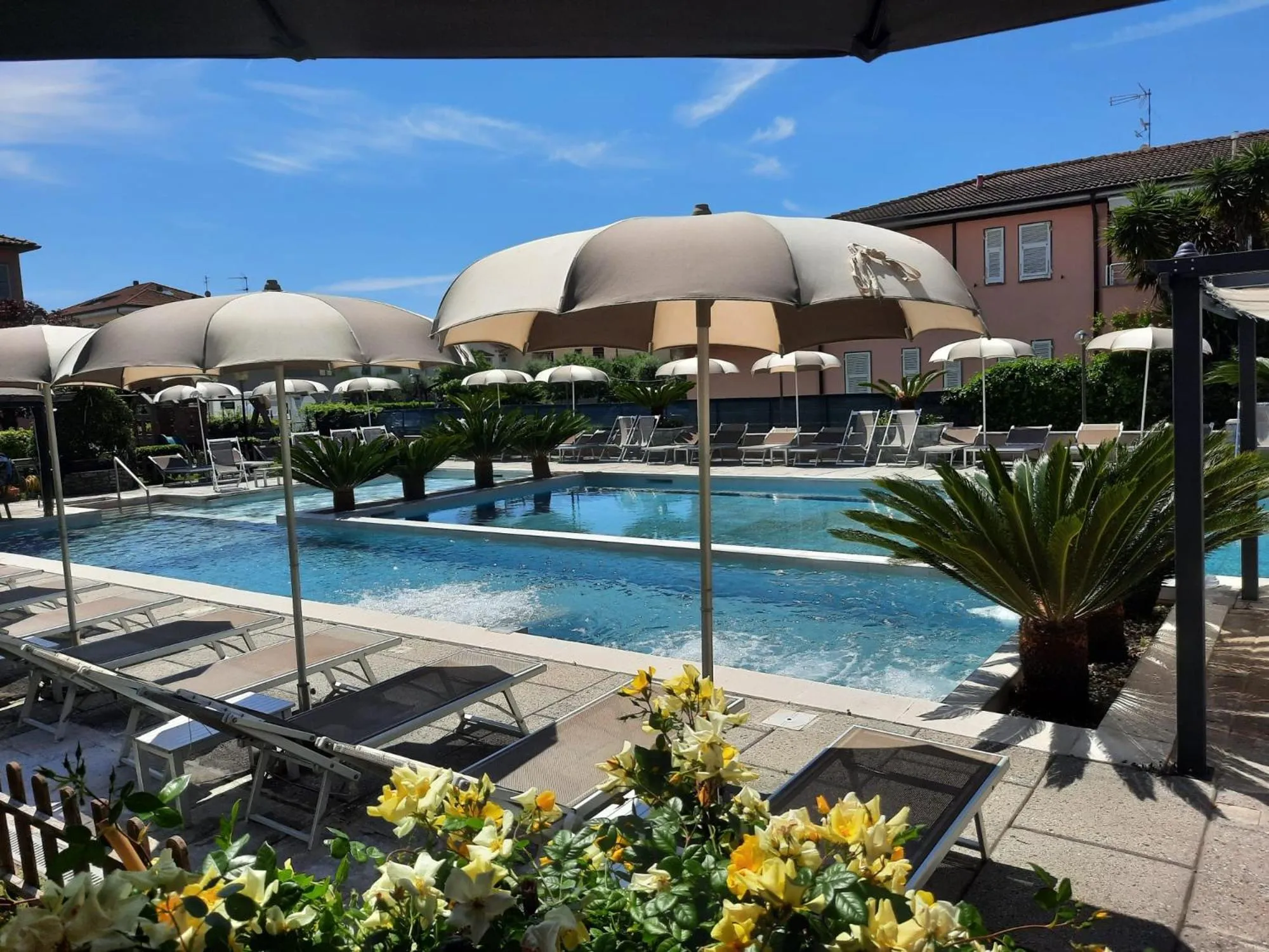 Swimming pool in River Park Hotel