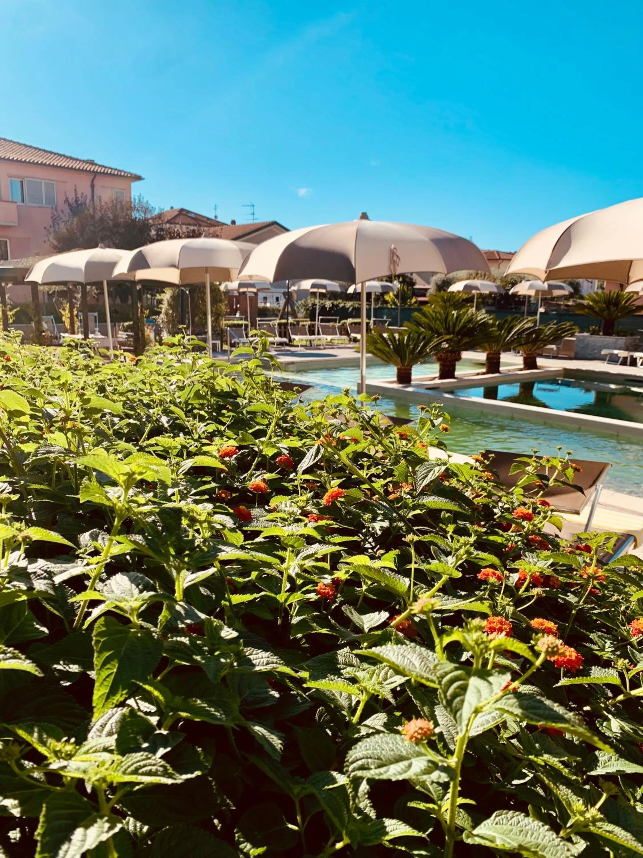 Swimming pool in River Park Hotel