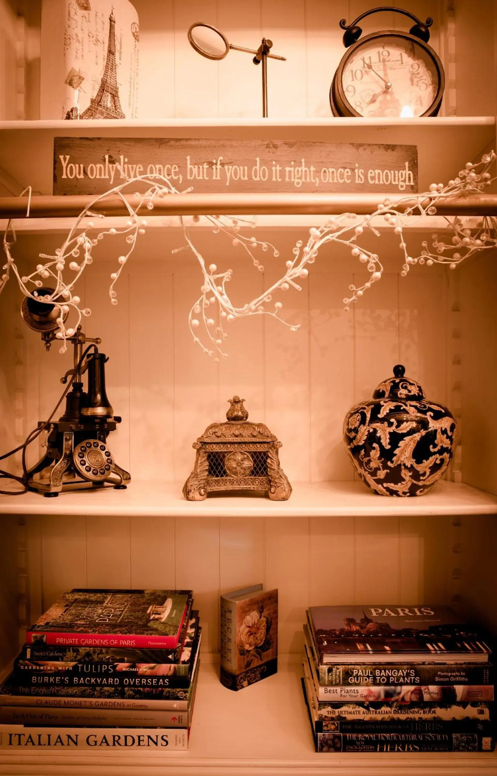 Library in Belle Le Vie