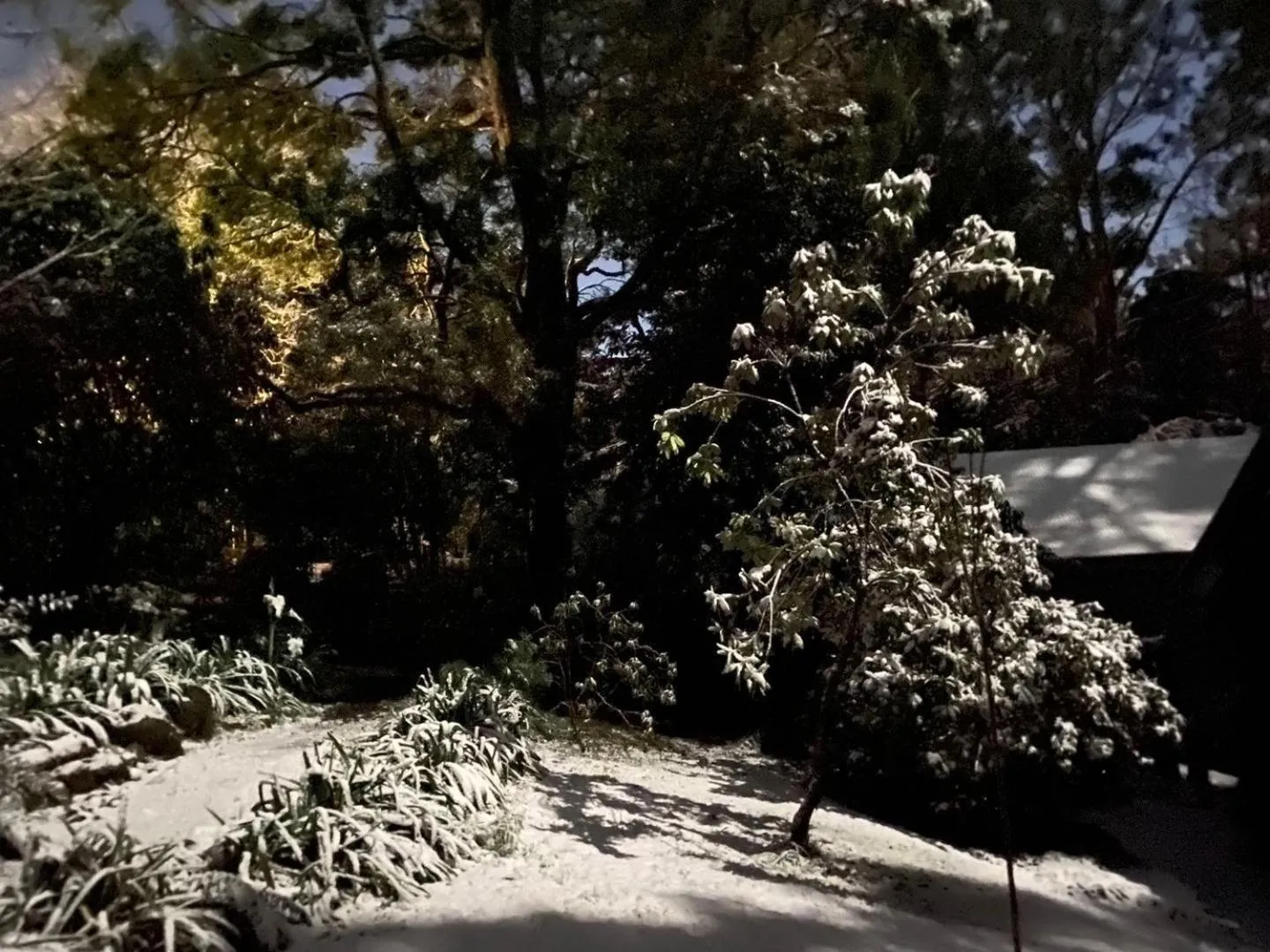 Winter in Belle Le Vie