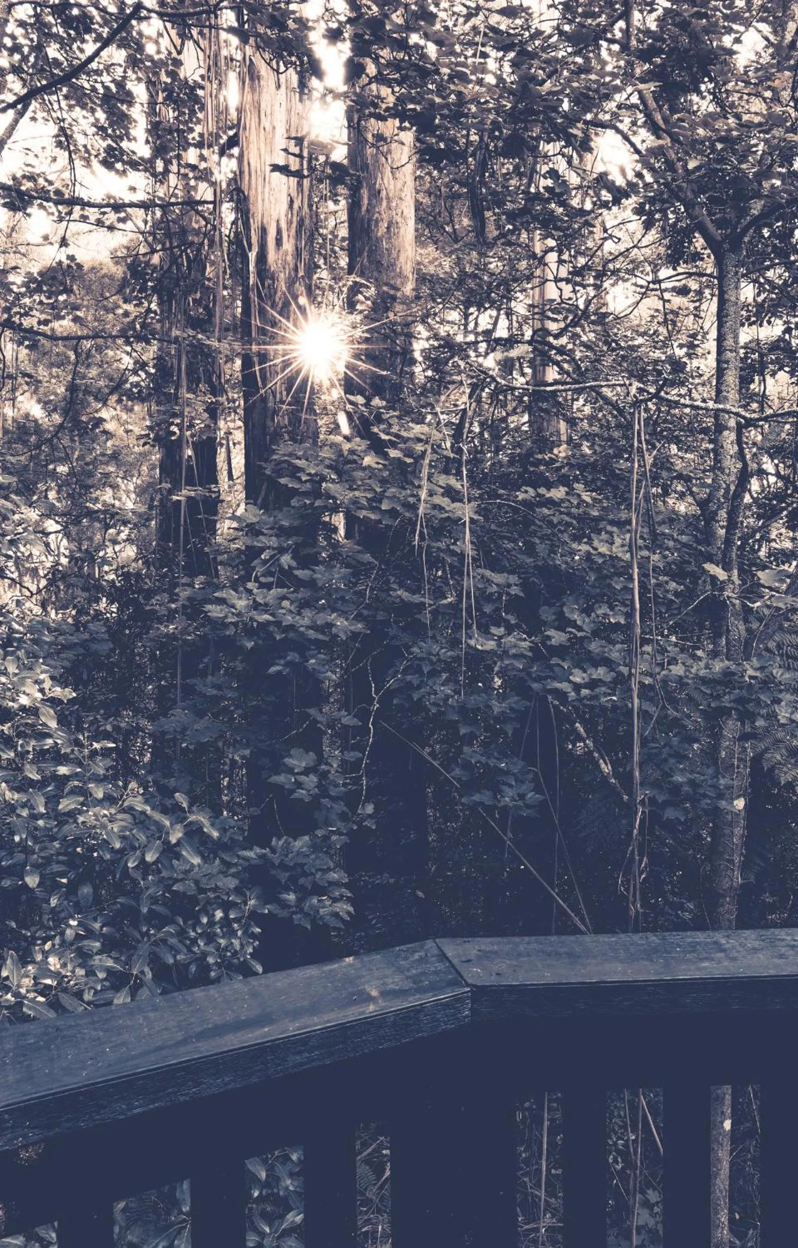 Garden in Belle Le Vie