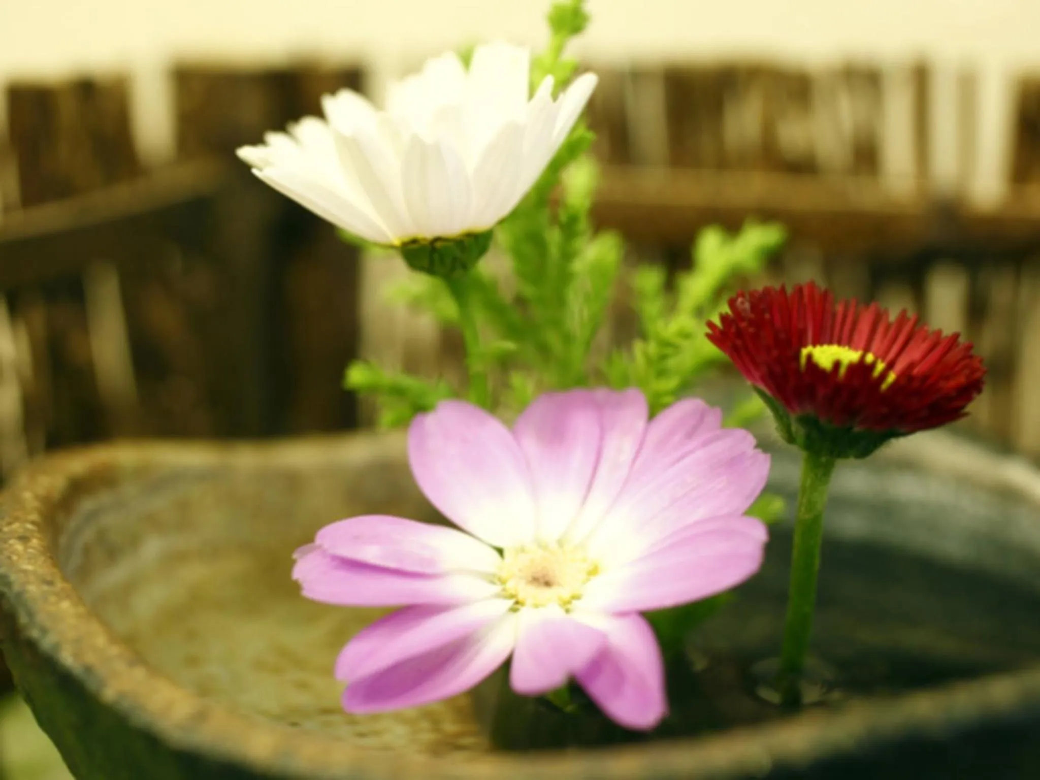 Other in Hotel New Ueno