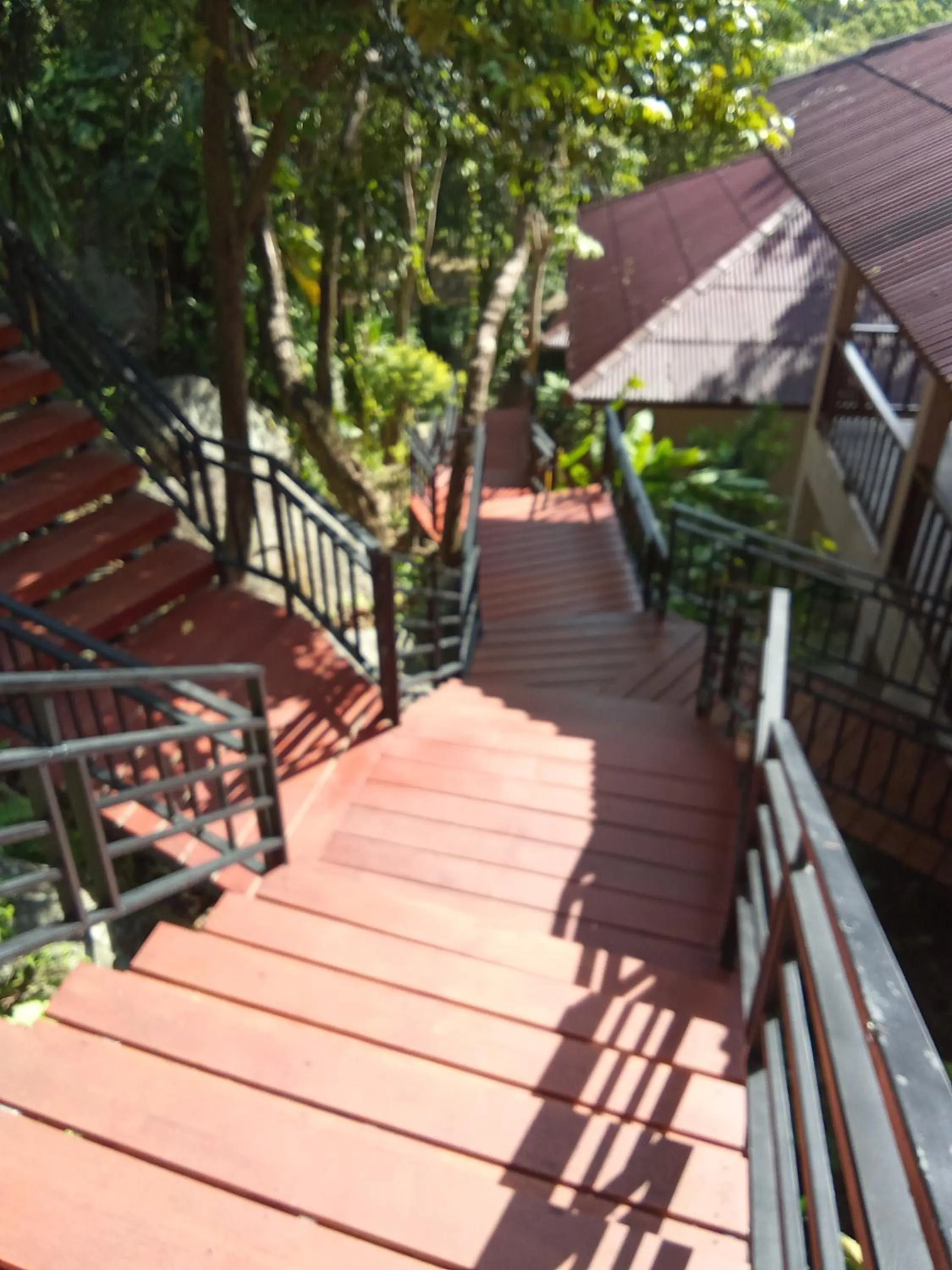 Property building in PawPaw Resort