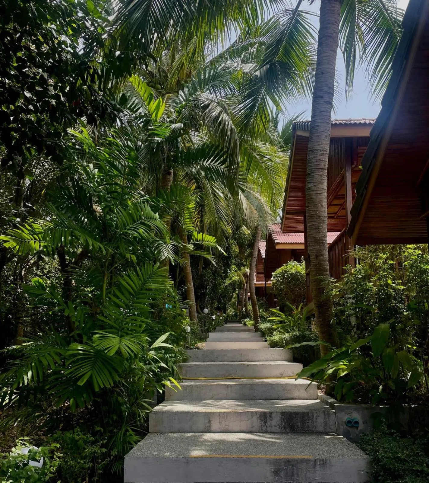 Property building in PawPaw Resort