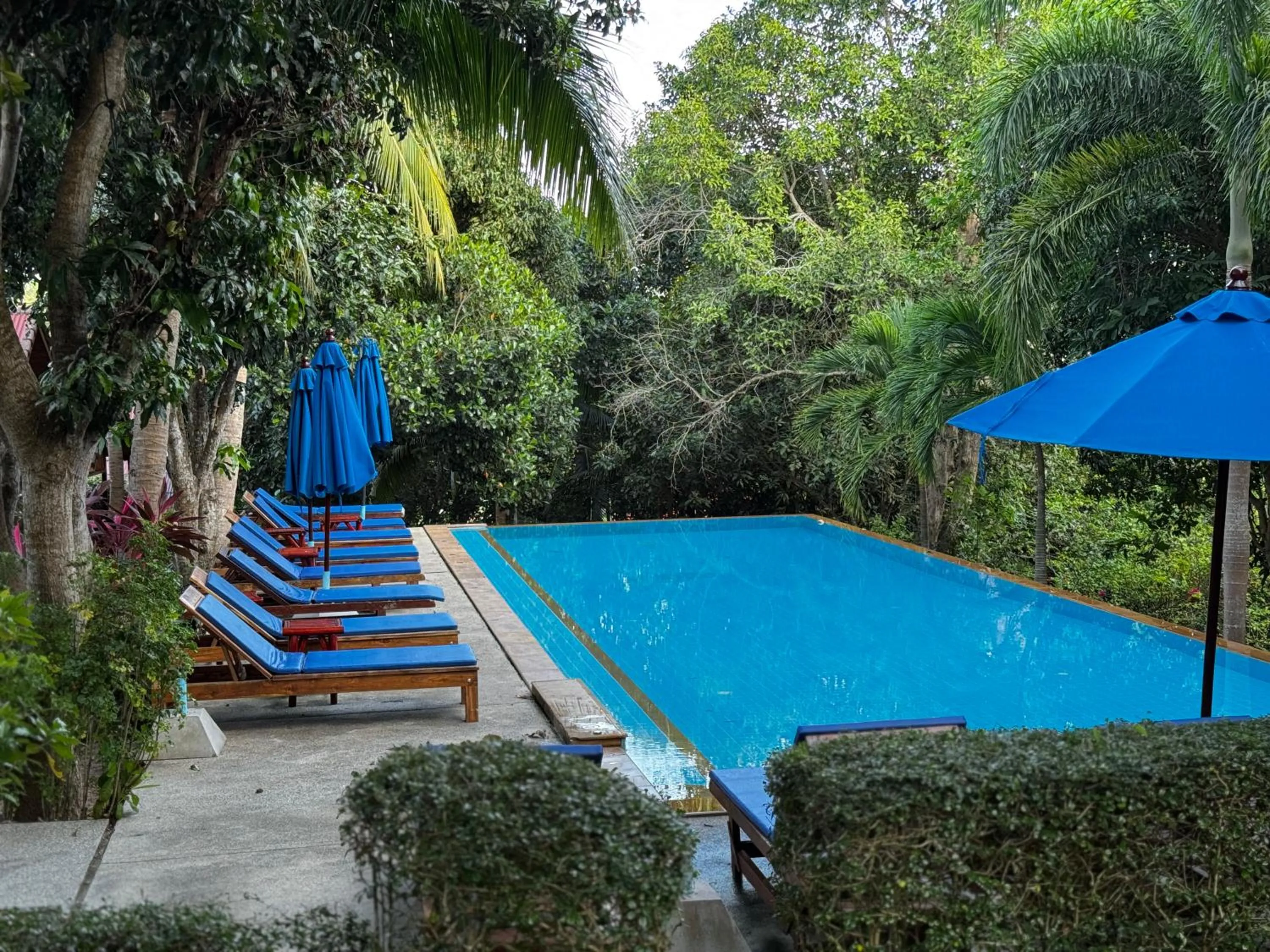 Swimming pool in PawPaw Resort