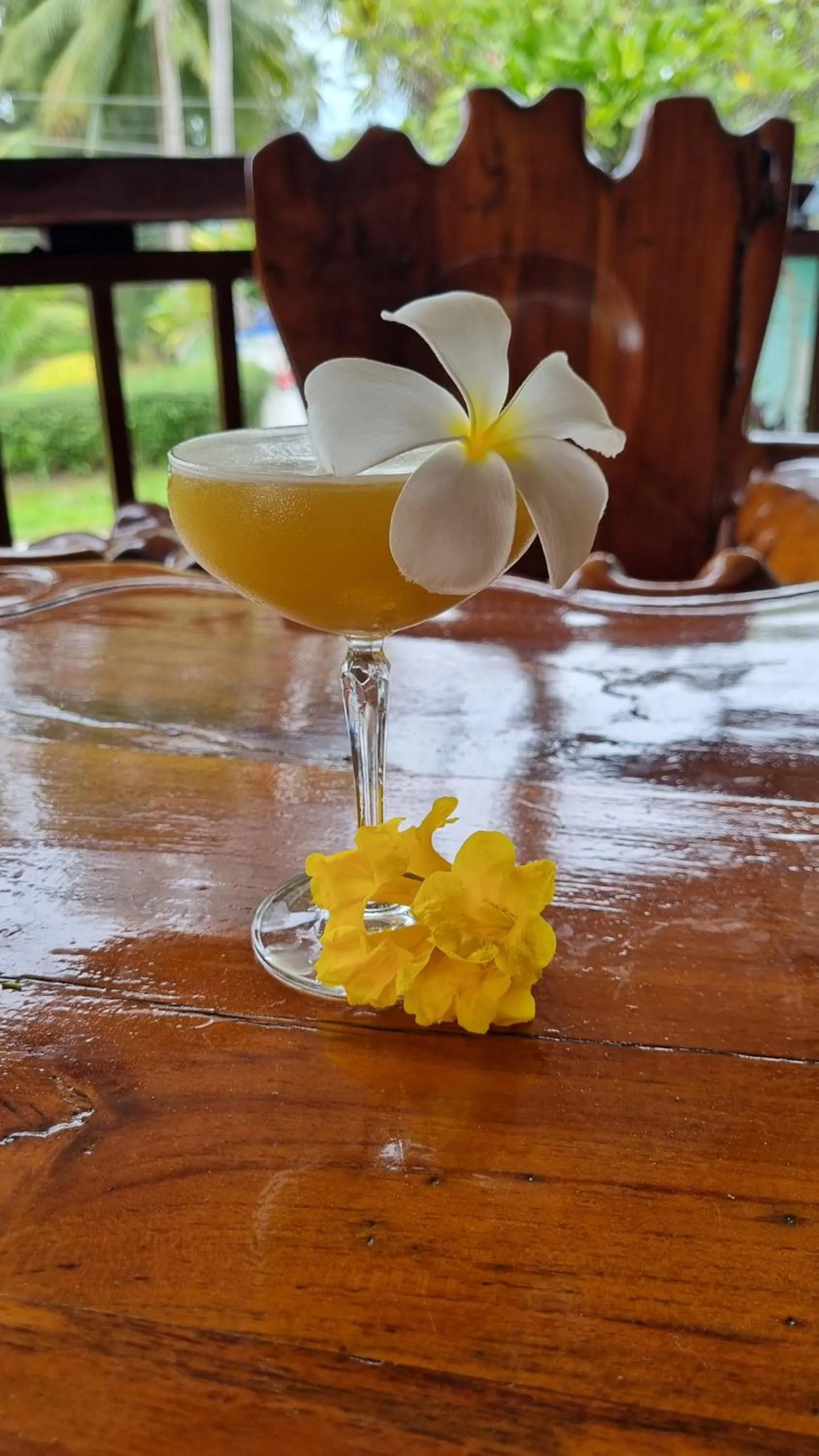 Restaurant/places to eat in PawPaw Resort