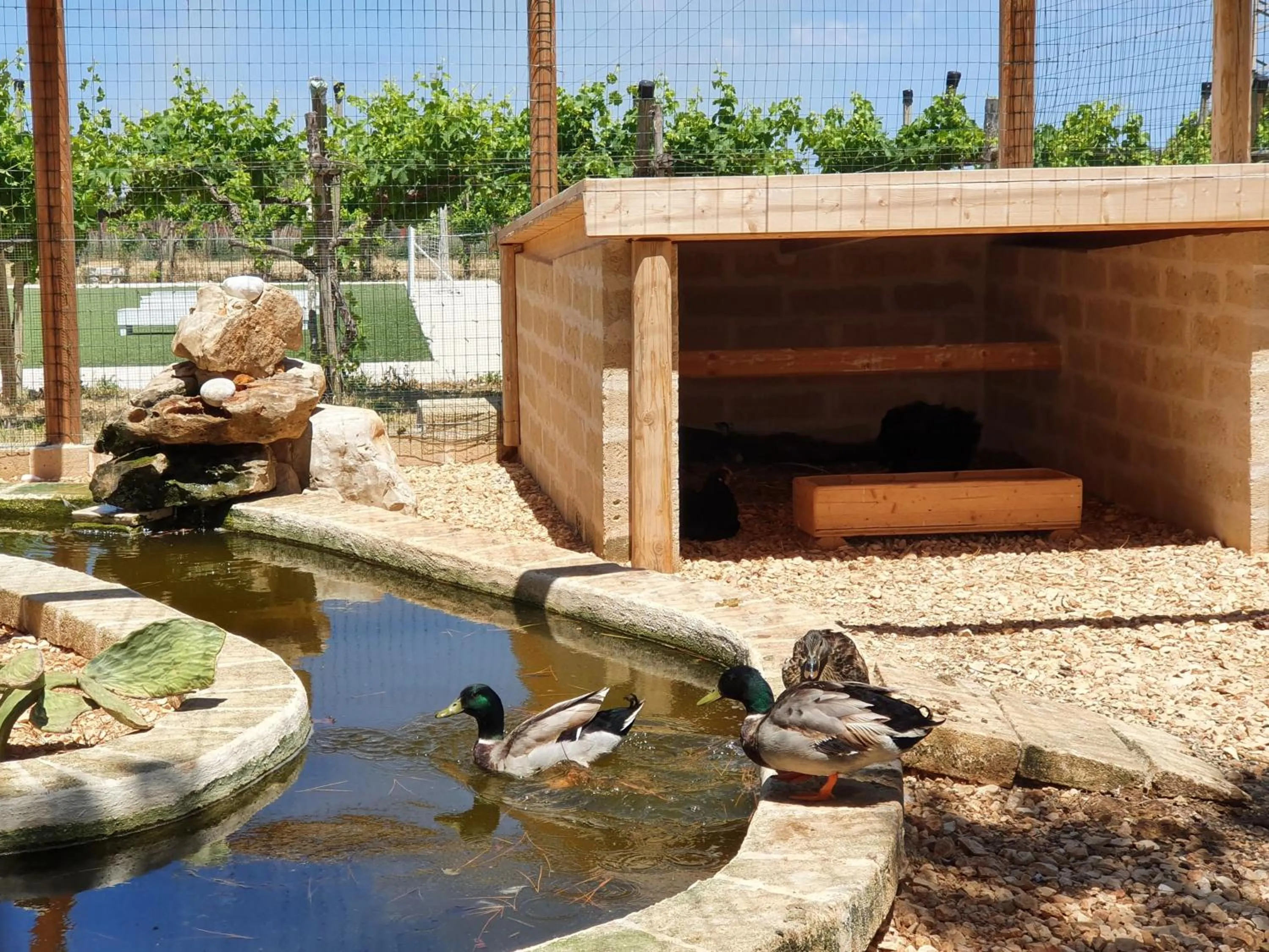 Garden in Masseria Agrituristica Lama San Giorgio