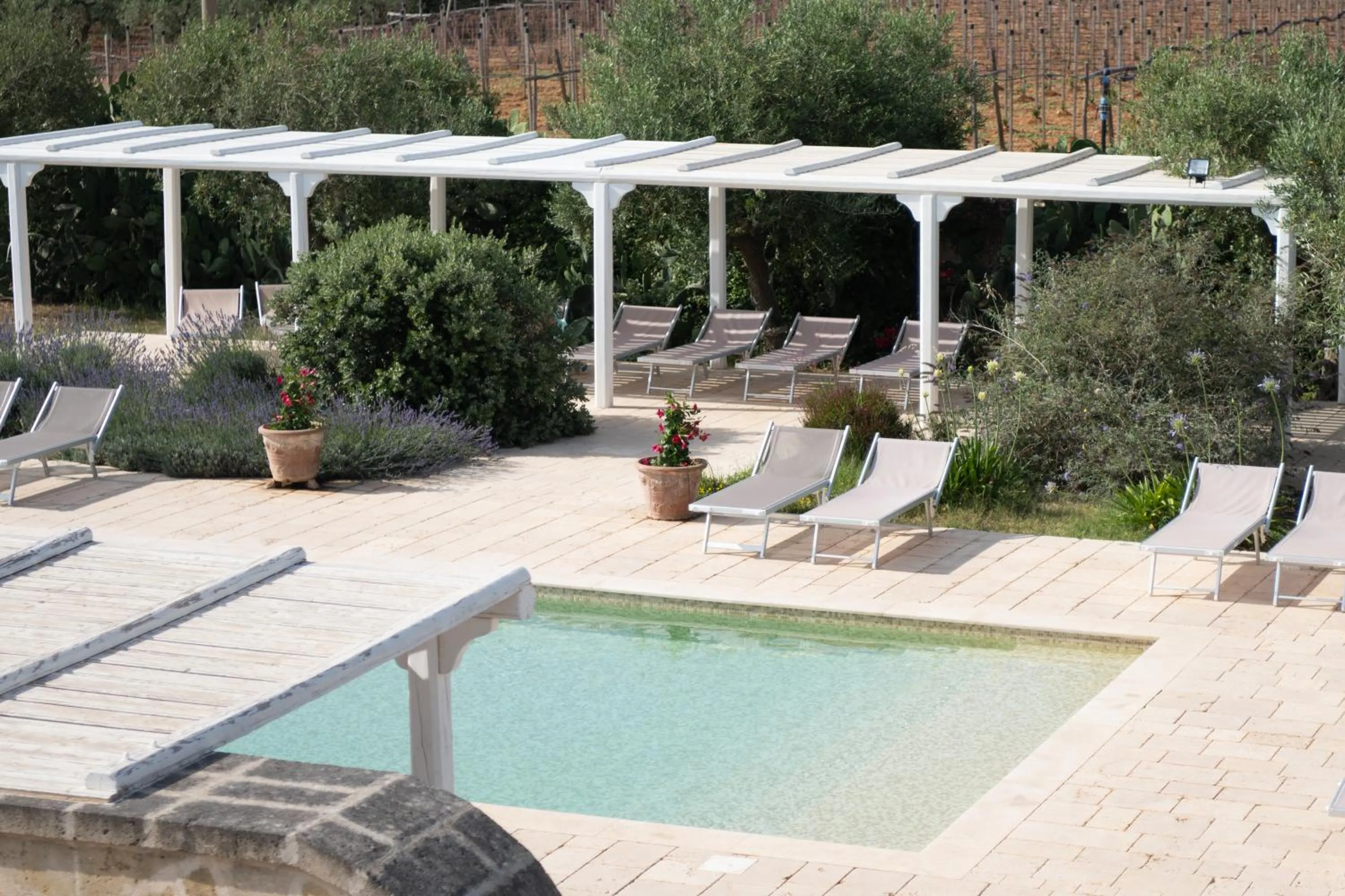 Swimming pool in Masseria Agrituristica Lama San Giorgio