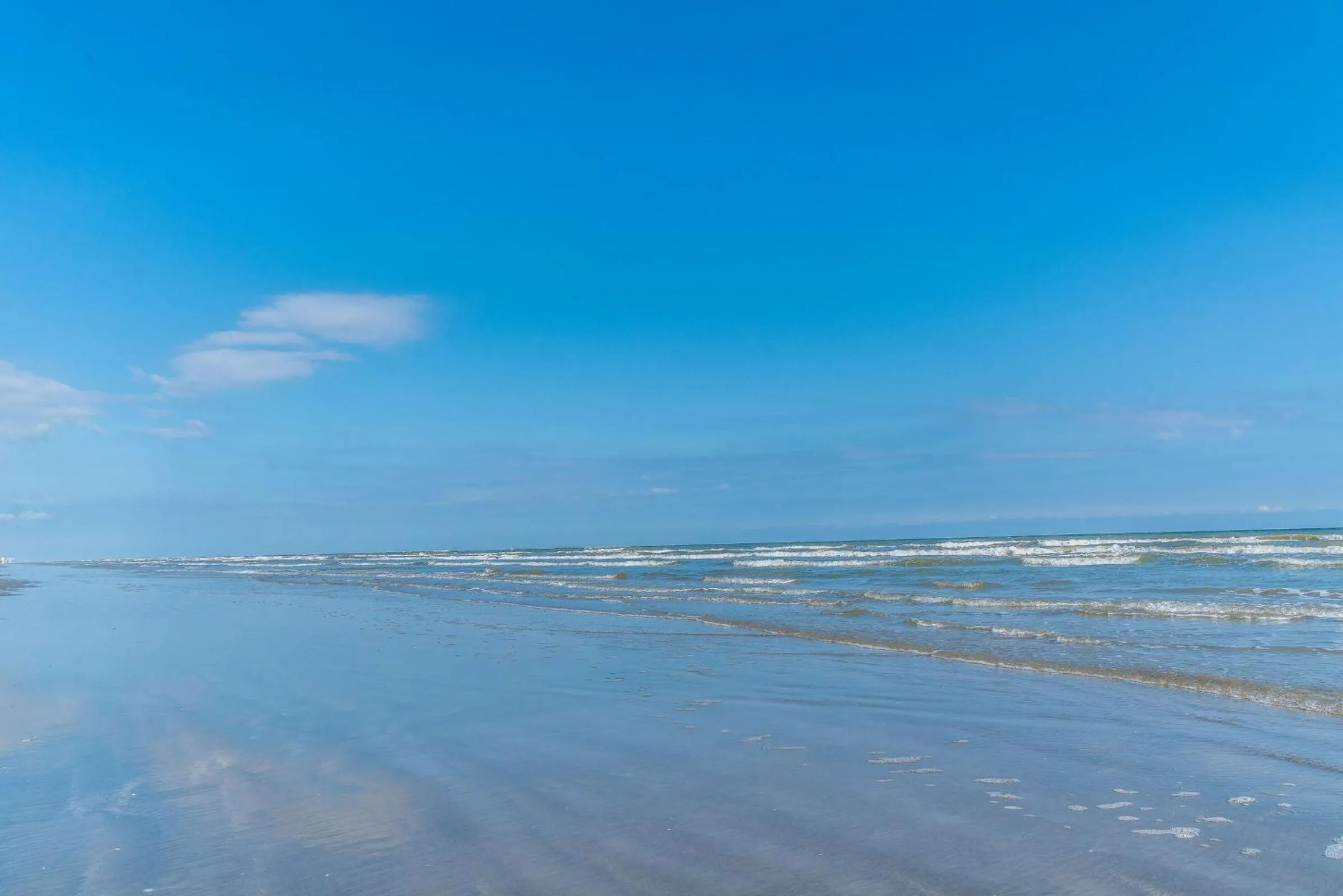 PERFECT location spacious yard coffee bar at this lovely beach home