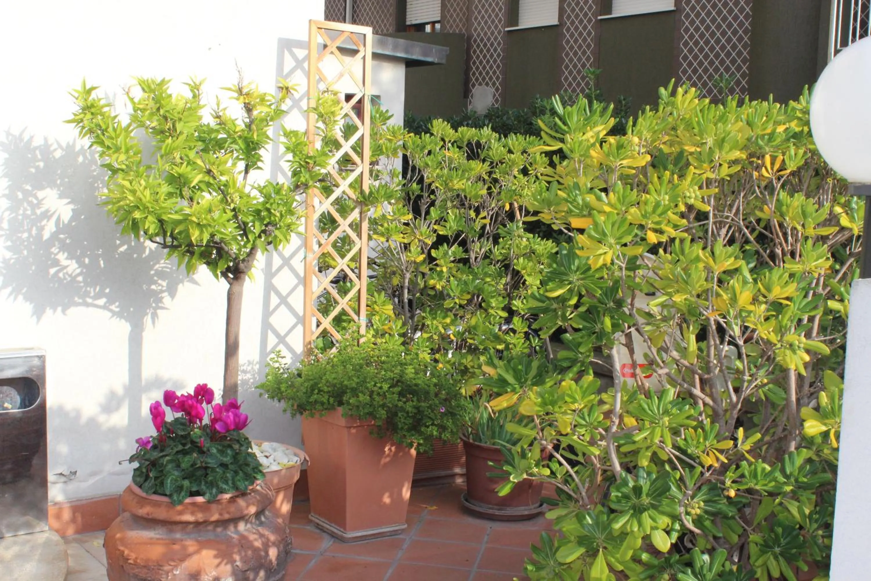 Arcangelo Roof Hotel