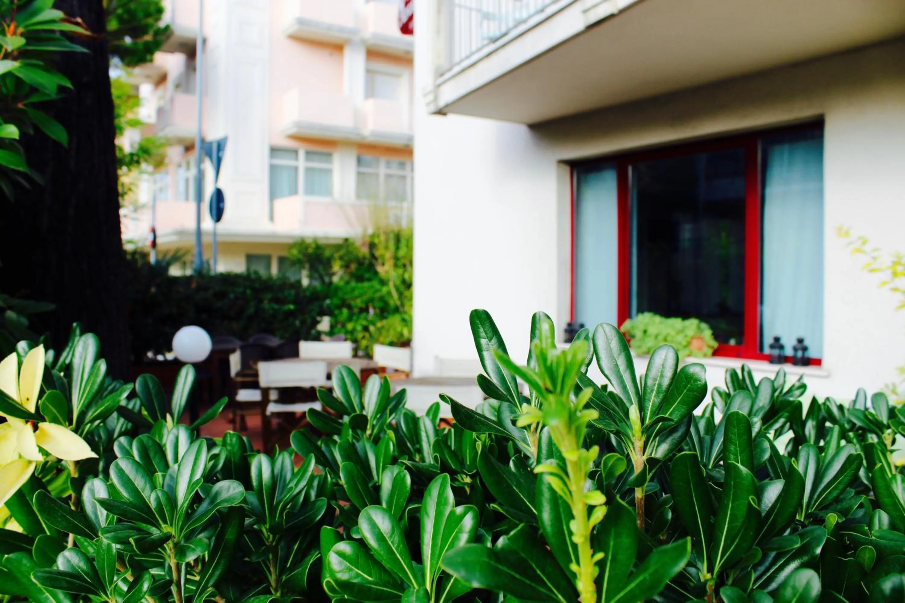 Garden in Arcangelo Roof Hotel