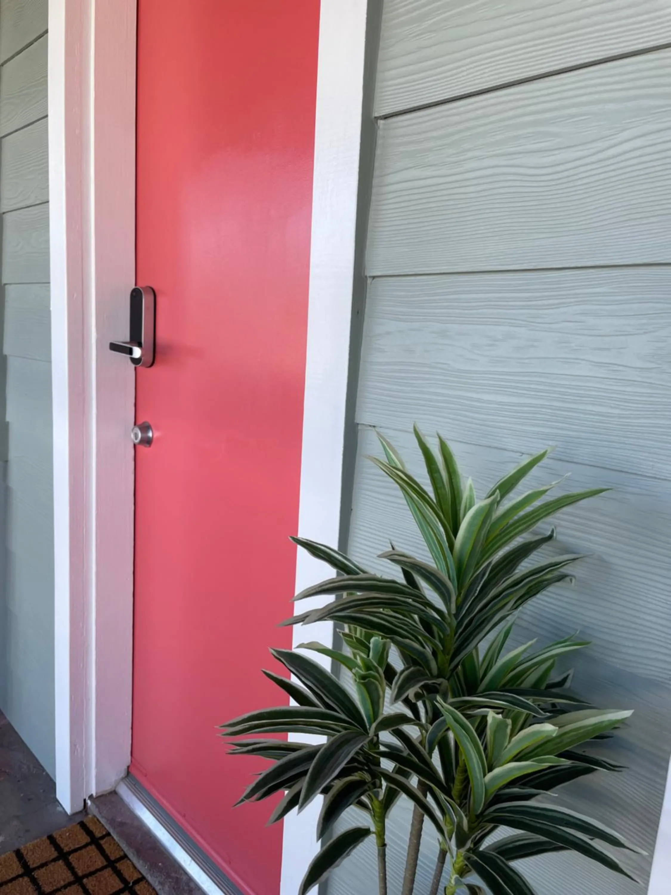 Property building in Millz Manor