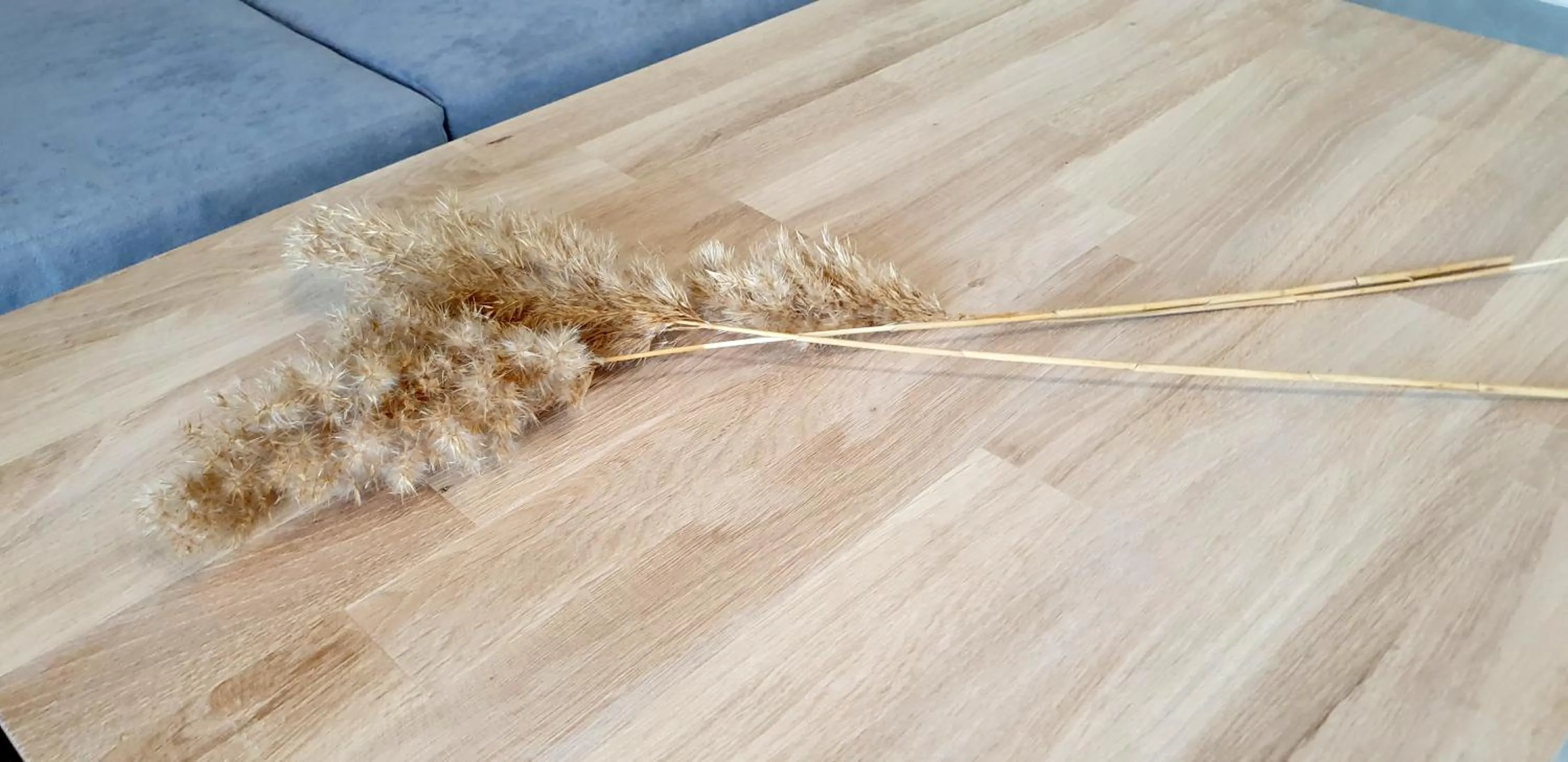 Decorative detail in Almeta Suites