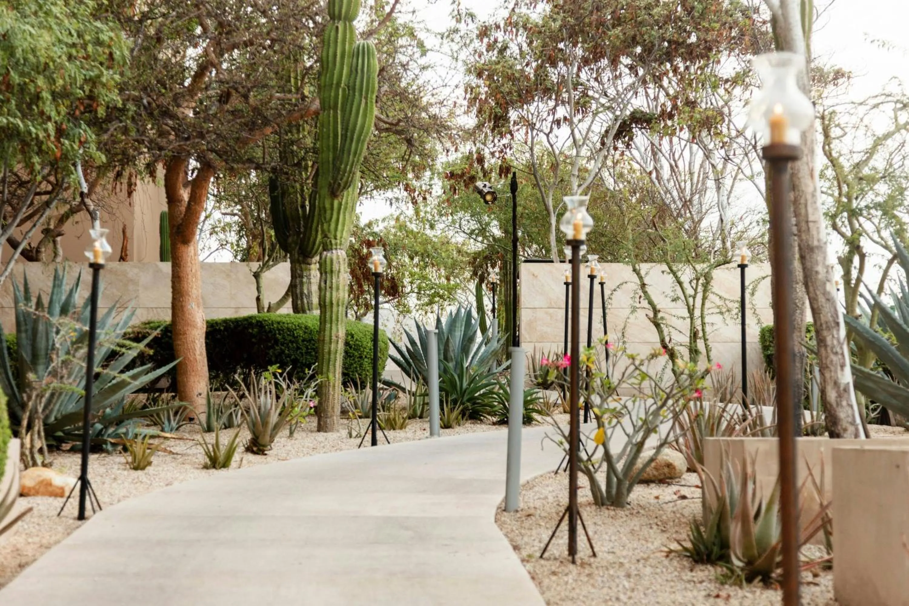 View (from property/room) in Casa Maat at JW Marriott Los Cabos Beach Resort & Spa