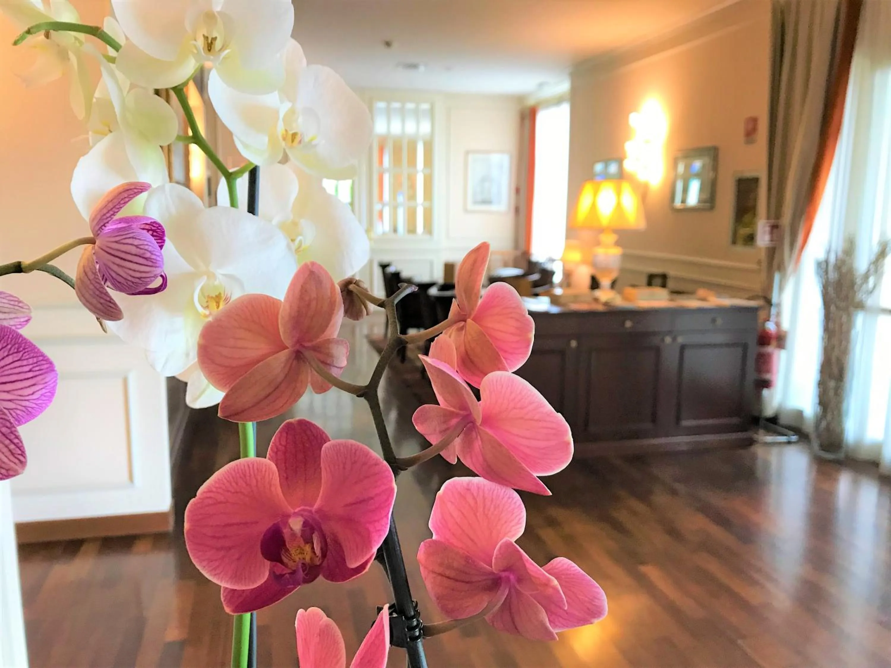 Decorative detail in The Regency Sure Hotel Collection by Best Western