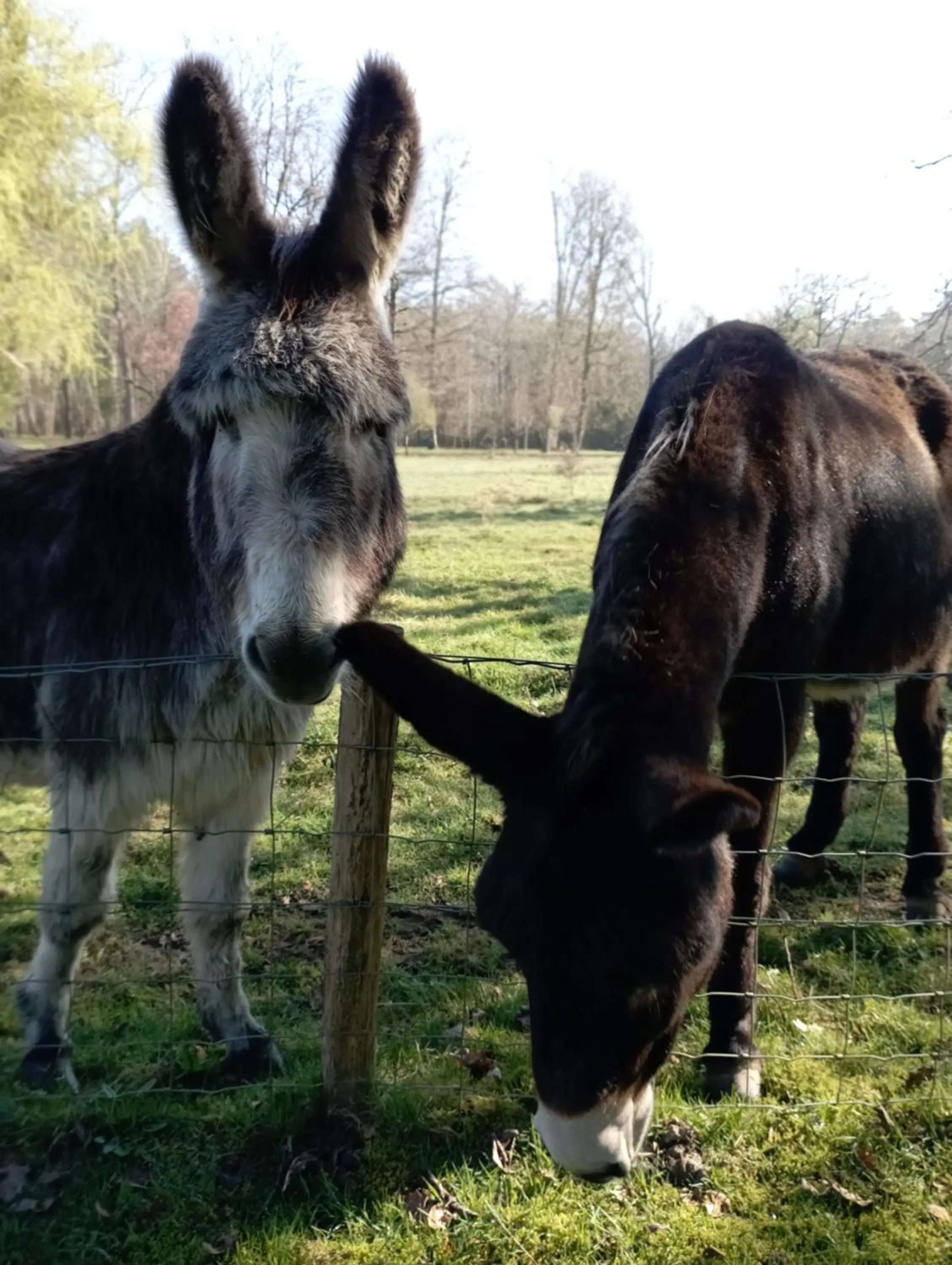 Chambres d'hôtes La Bourbelle