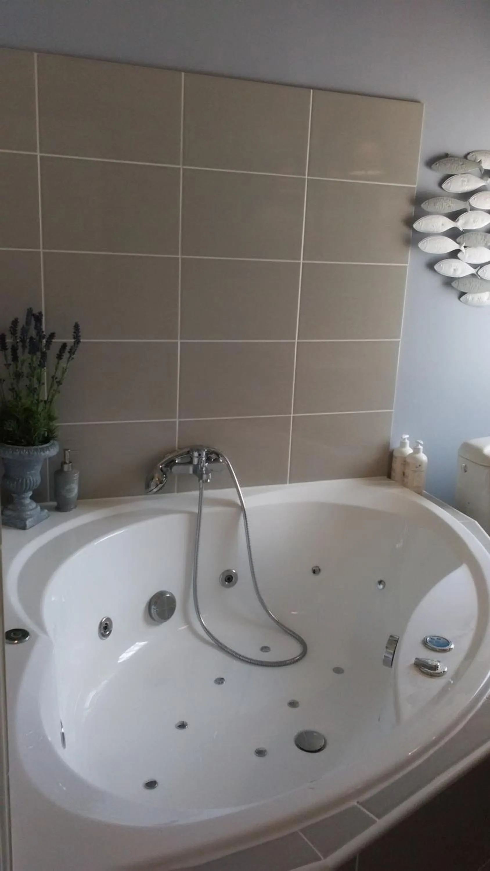 Bathroom in Chambres d'hôtes La Bourbelle