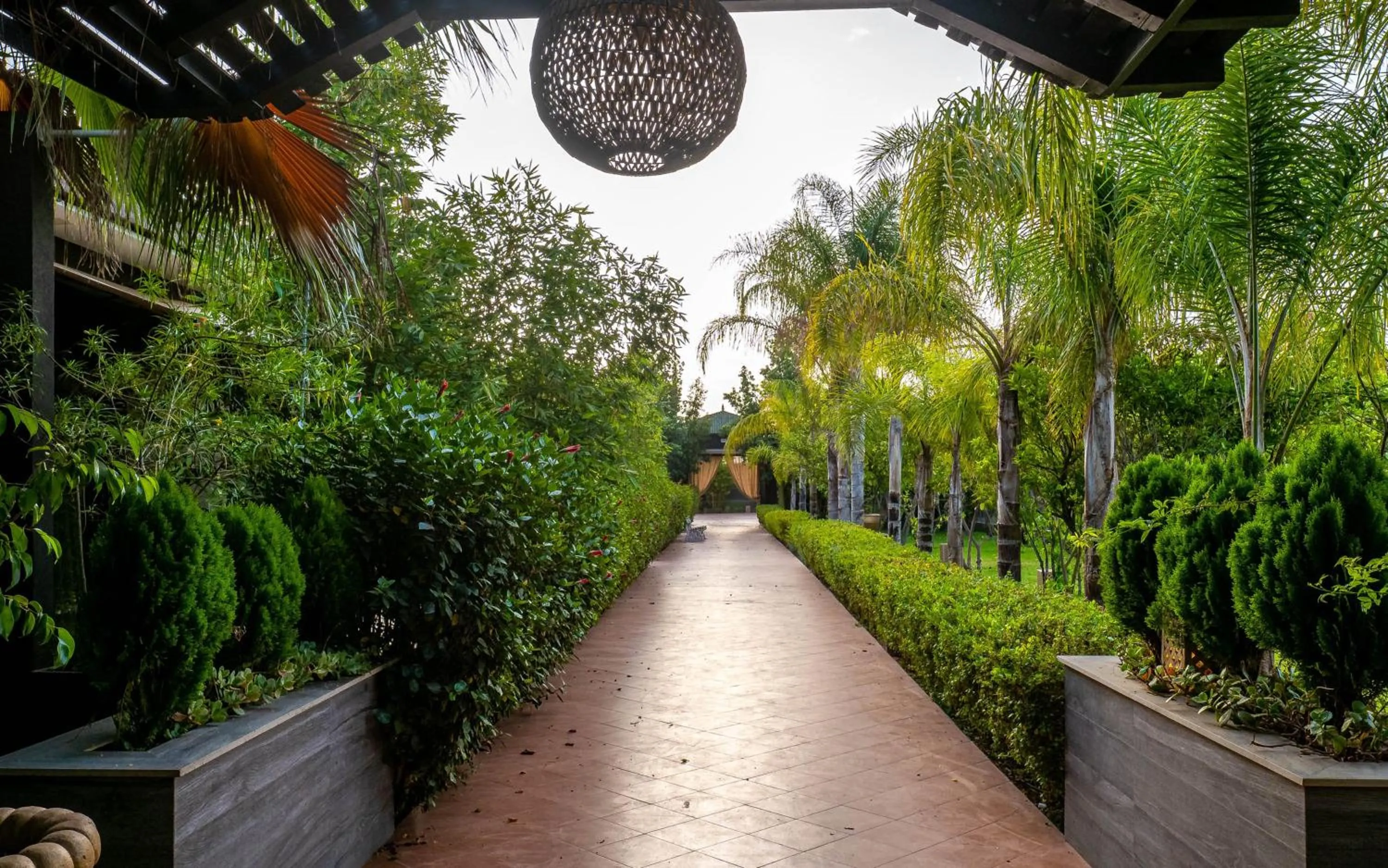 Spring in The Lemonary Marrakech