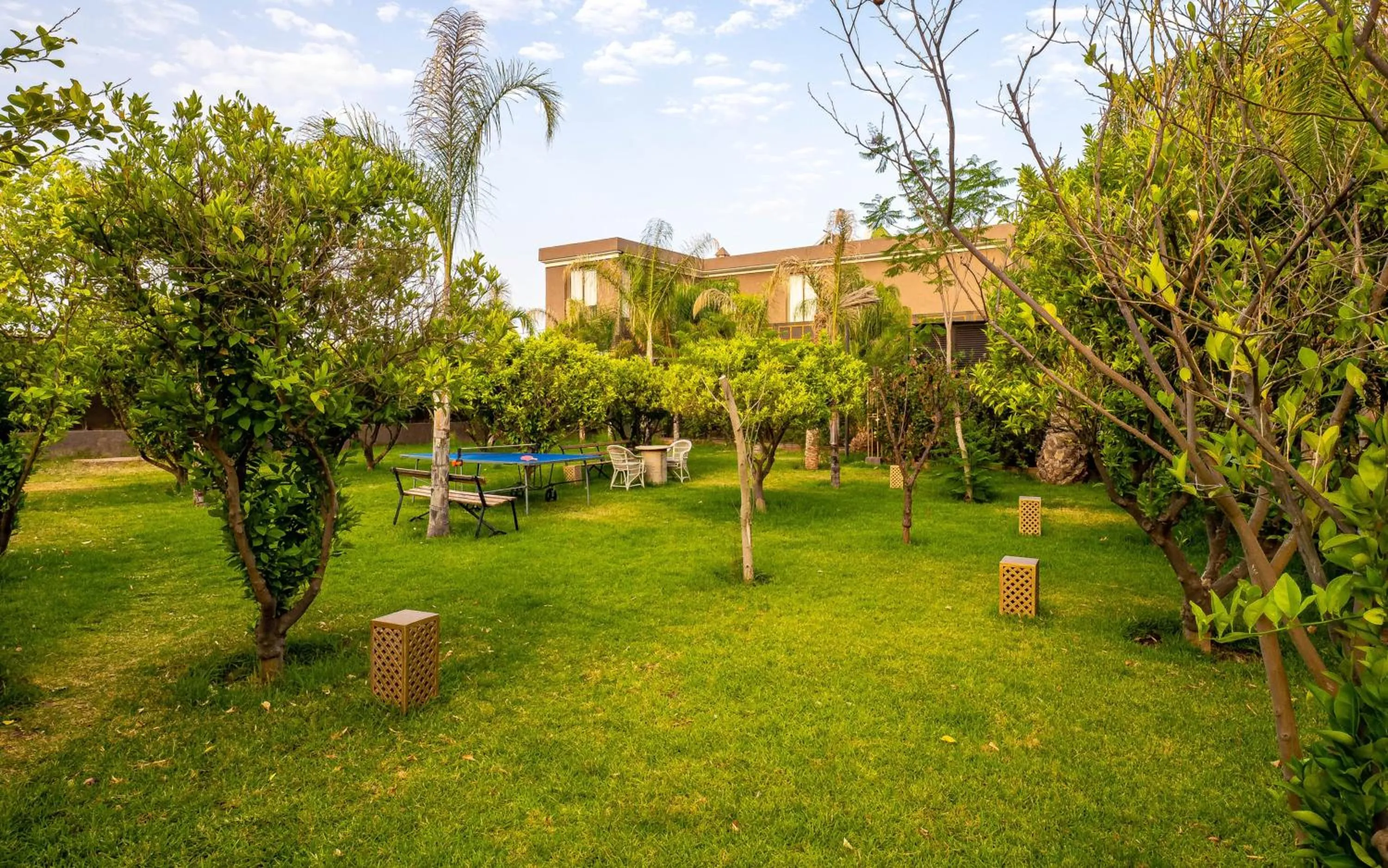 Spring in The Lemonary Marrakech