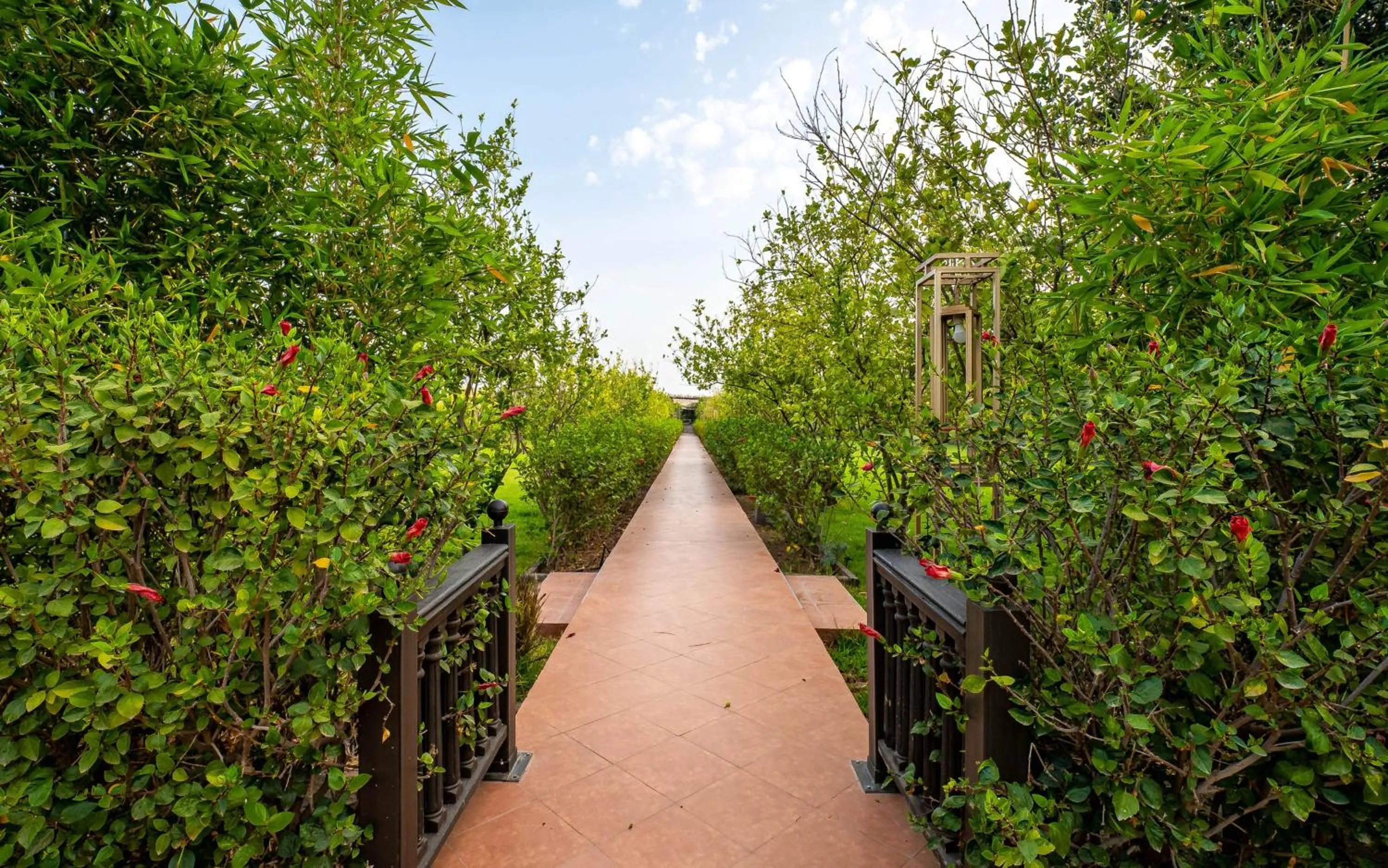 Spring in The Lemonary Marrakech