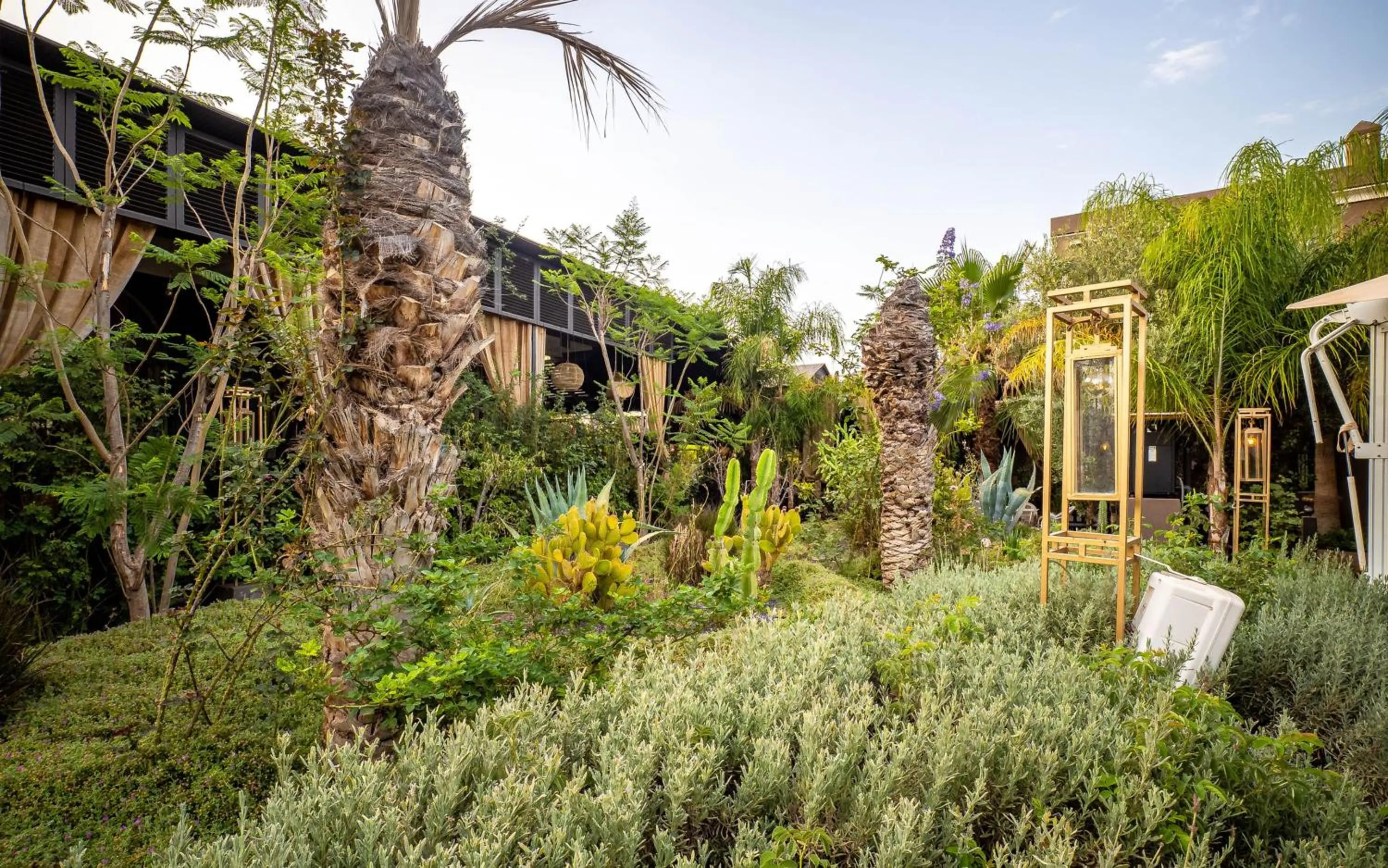 Spring in The Lemonary Marrakech