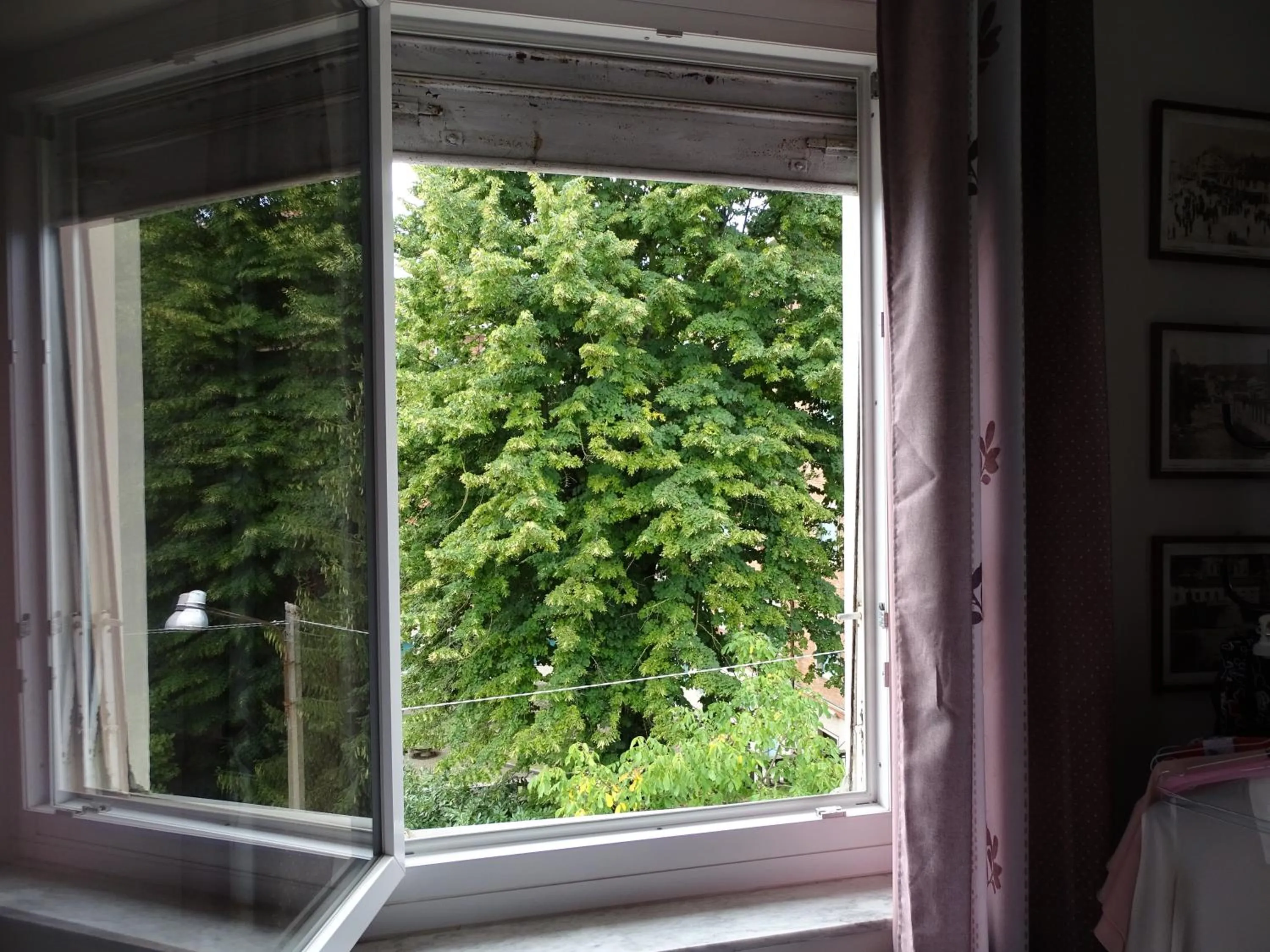 View (from property/room) in La Pajassa