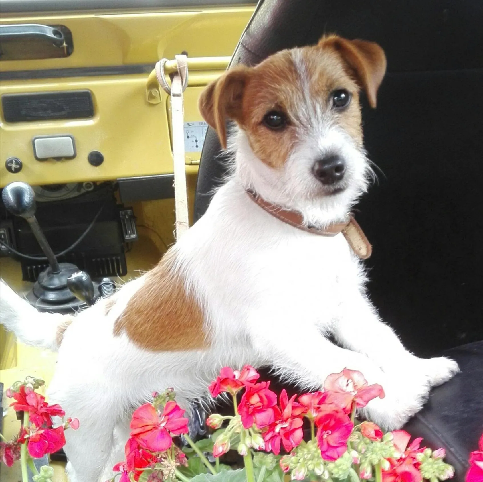 People in La Pajassa