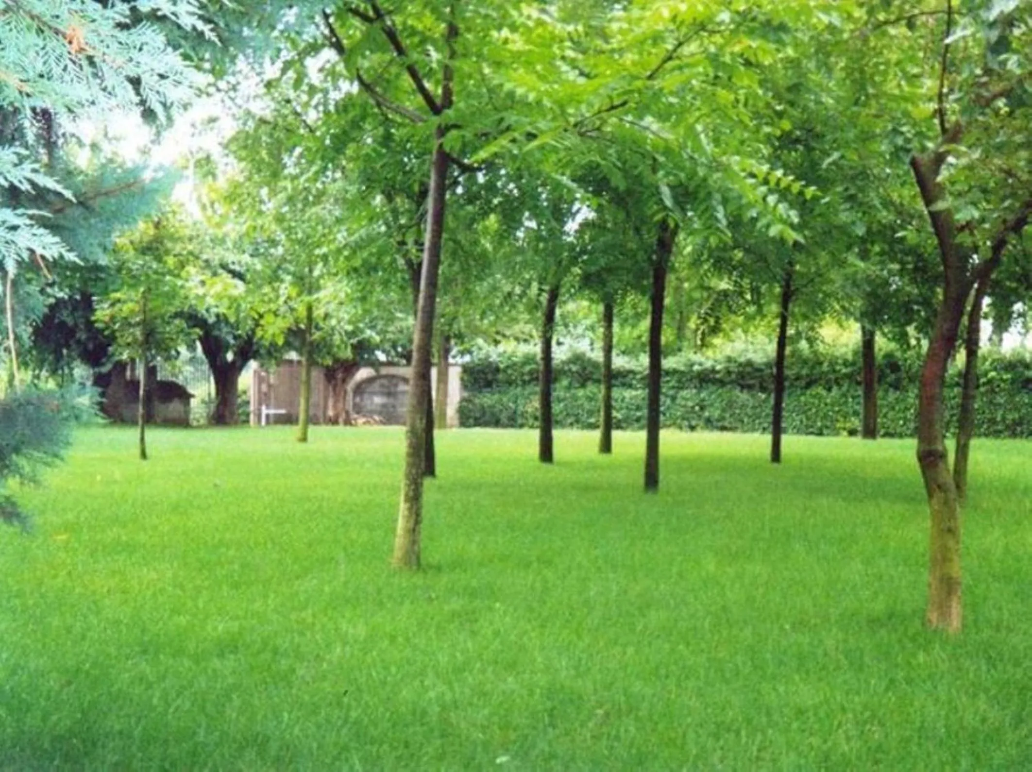 Garden in Agriturismo Corte Trincerone