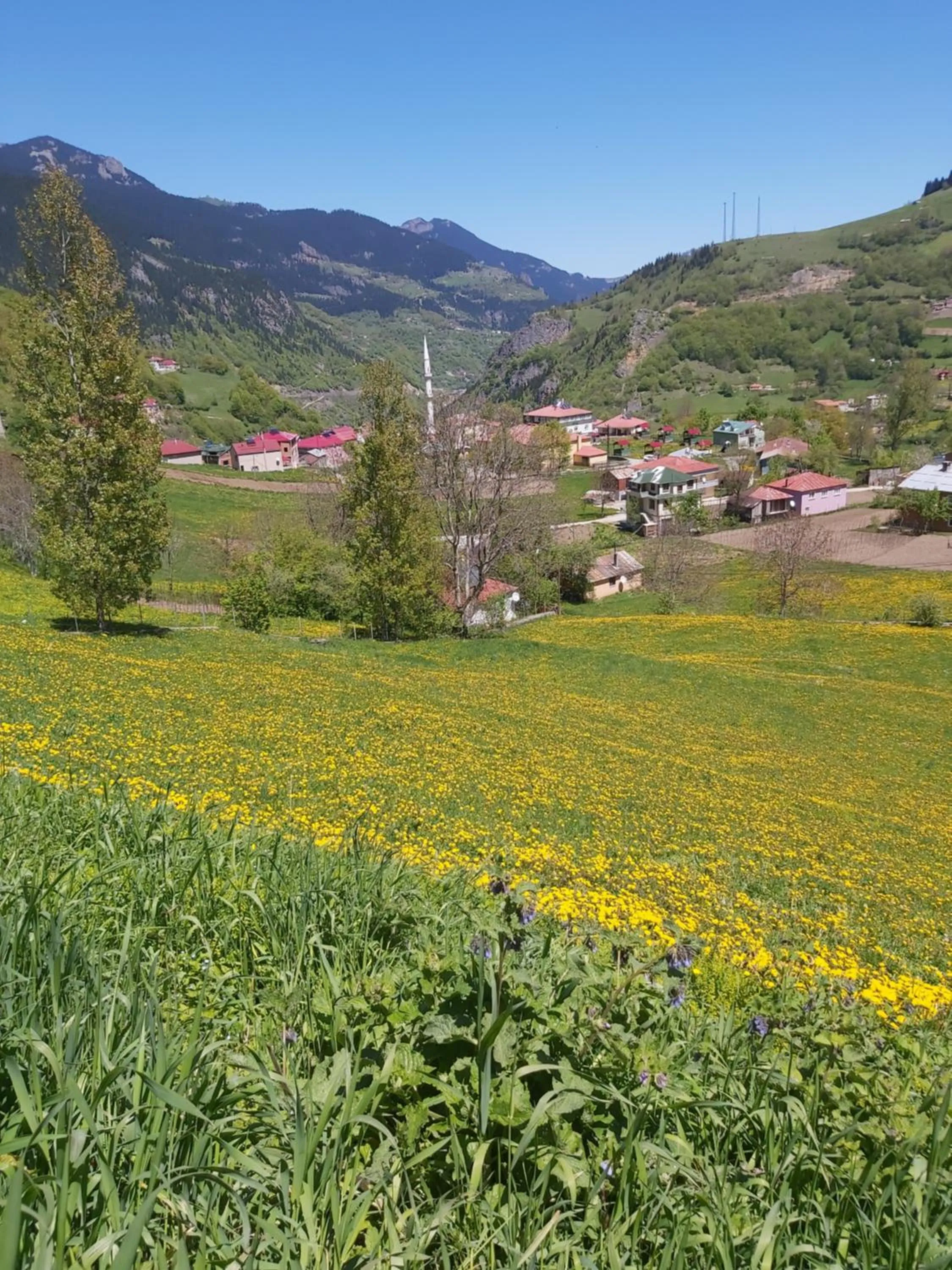 Natural landscape in Alya Teras Otel