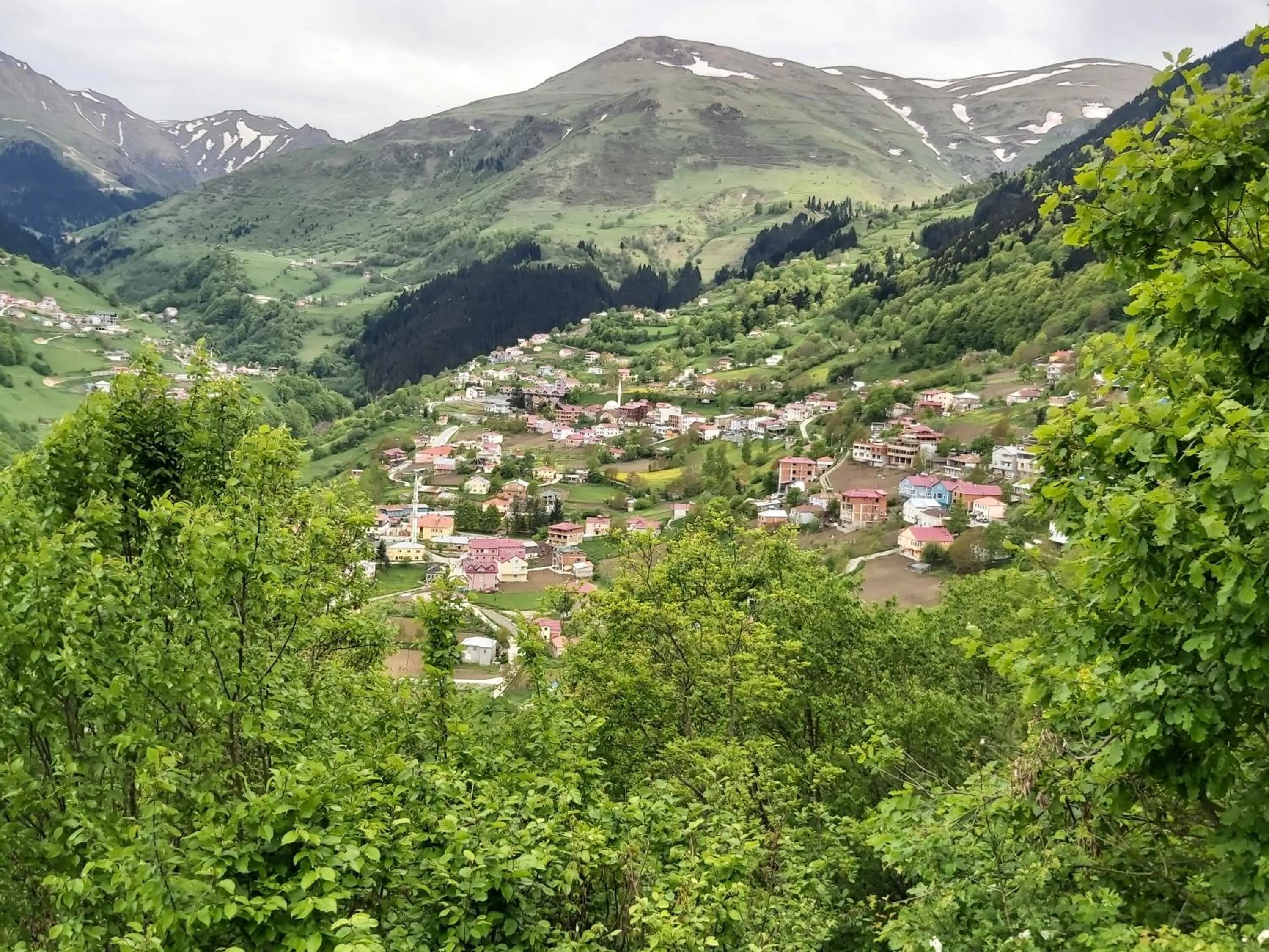 Neighbourhood in Alya Teras Otel