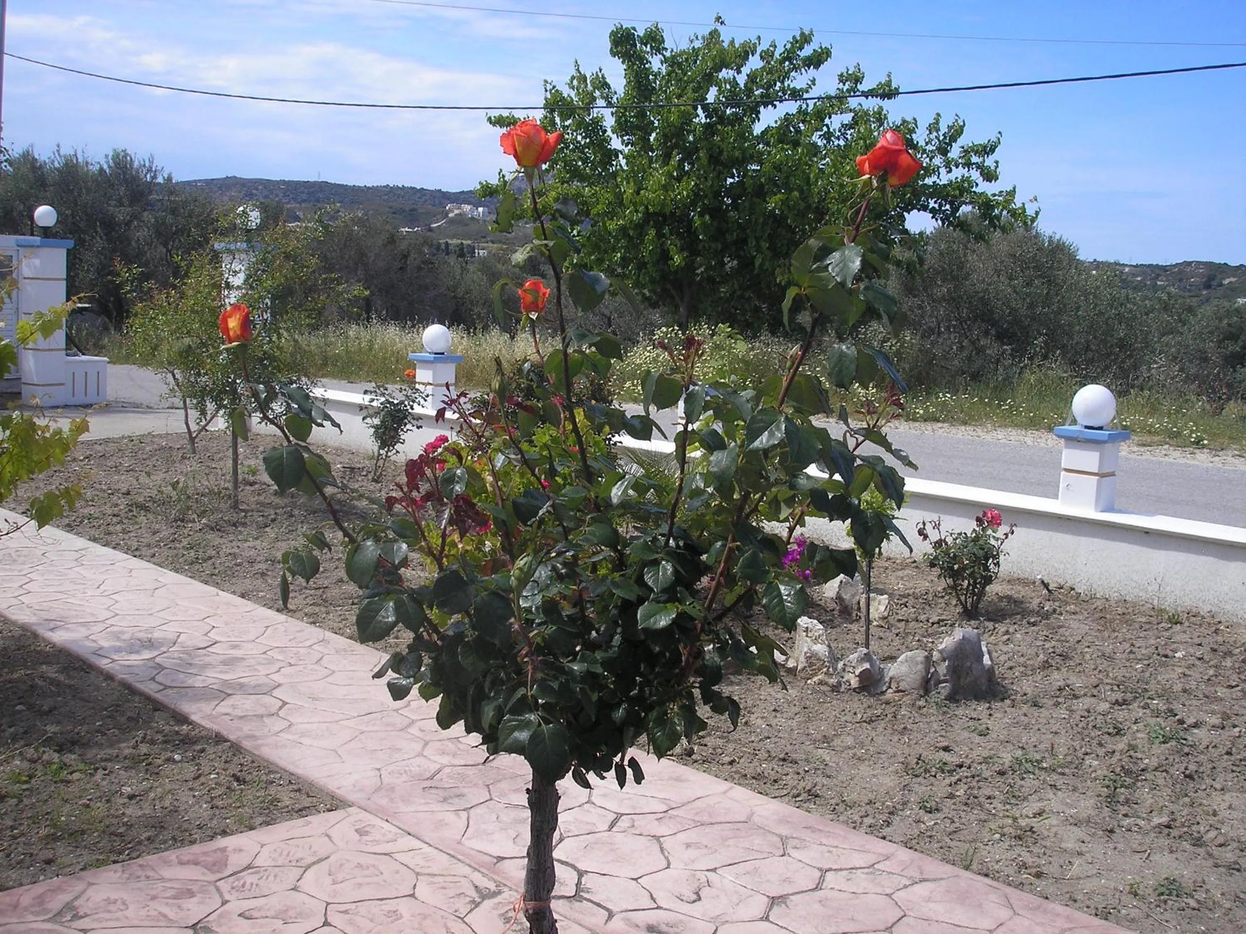 Natural landscape in Nephele Apartments