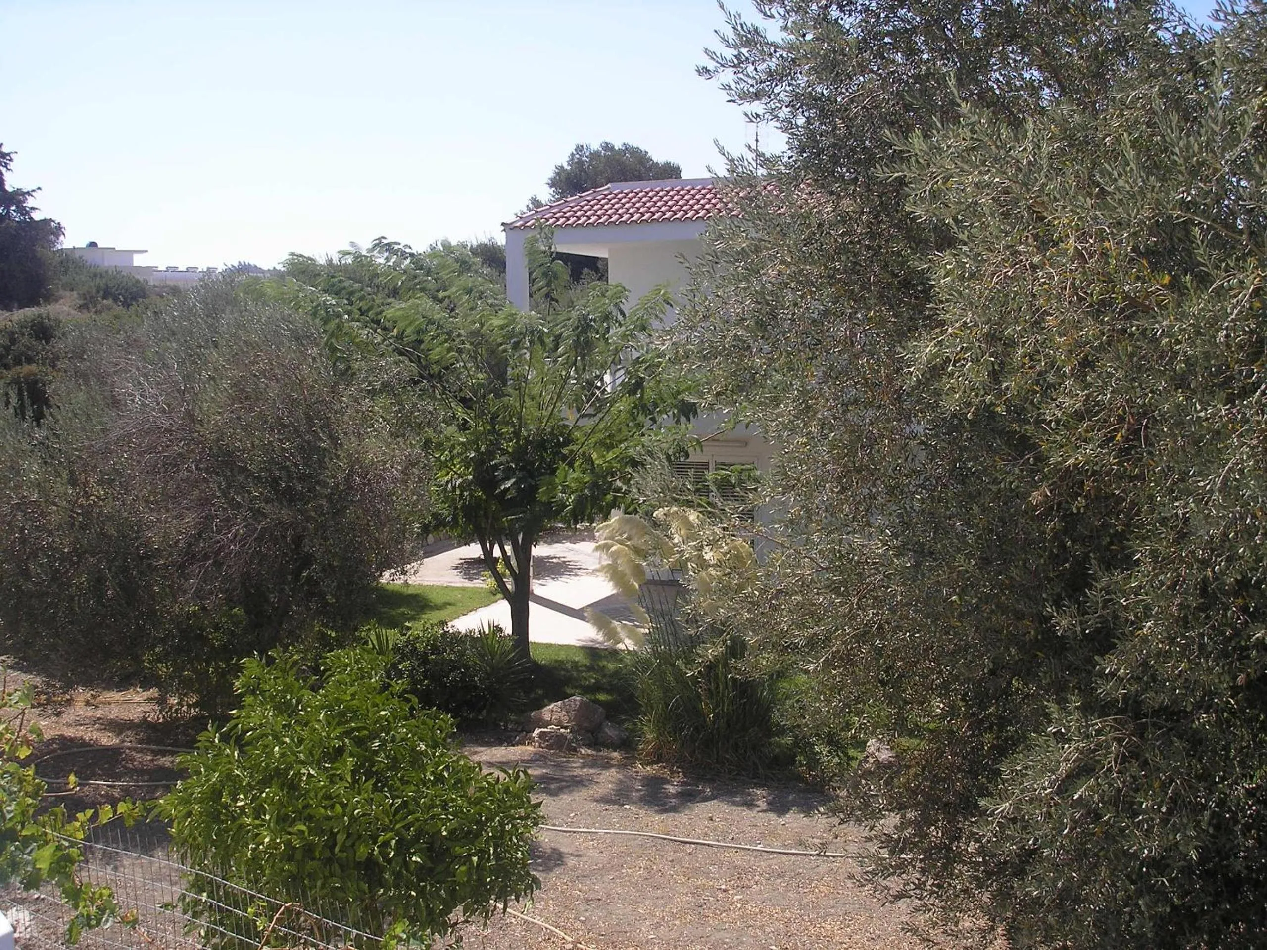 Garden in Nephele Apartments