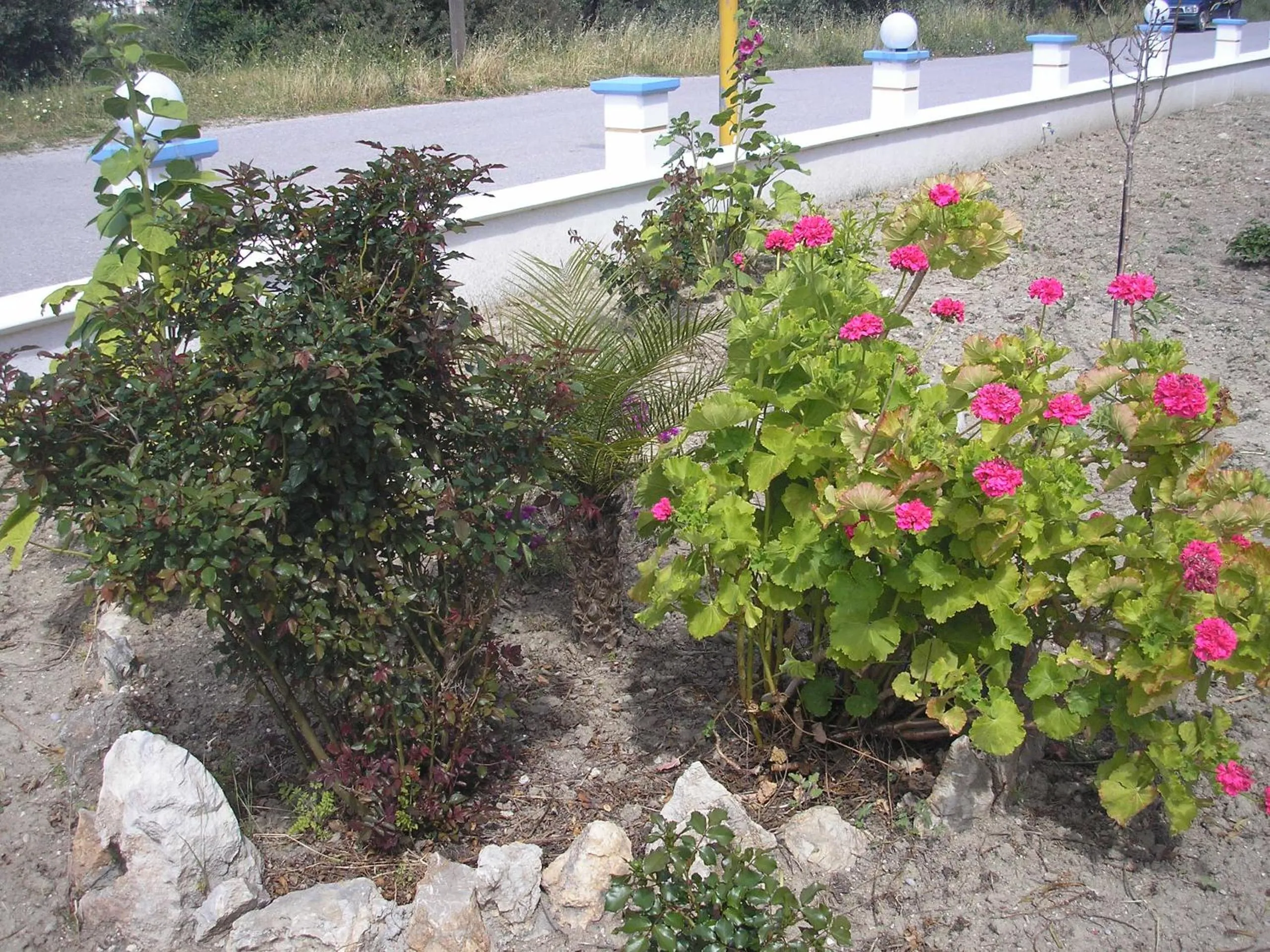 Garden in Nephele Apartments