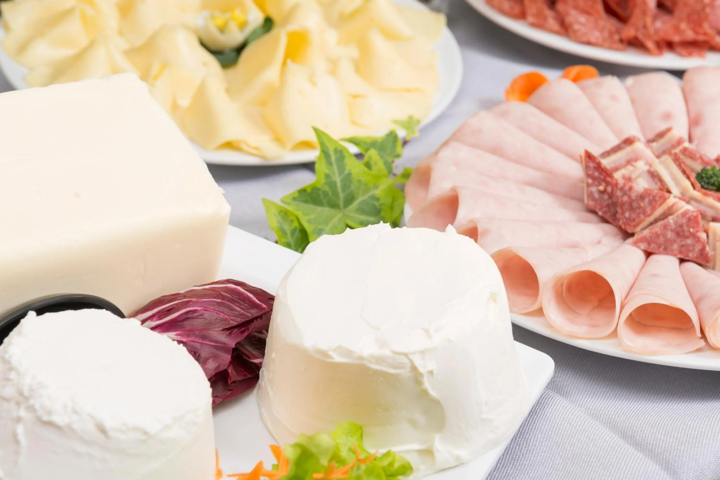 Food and drinks in Hotel Rosanna 3 Stelle Superior