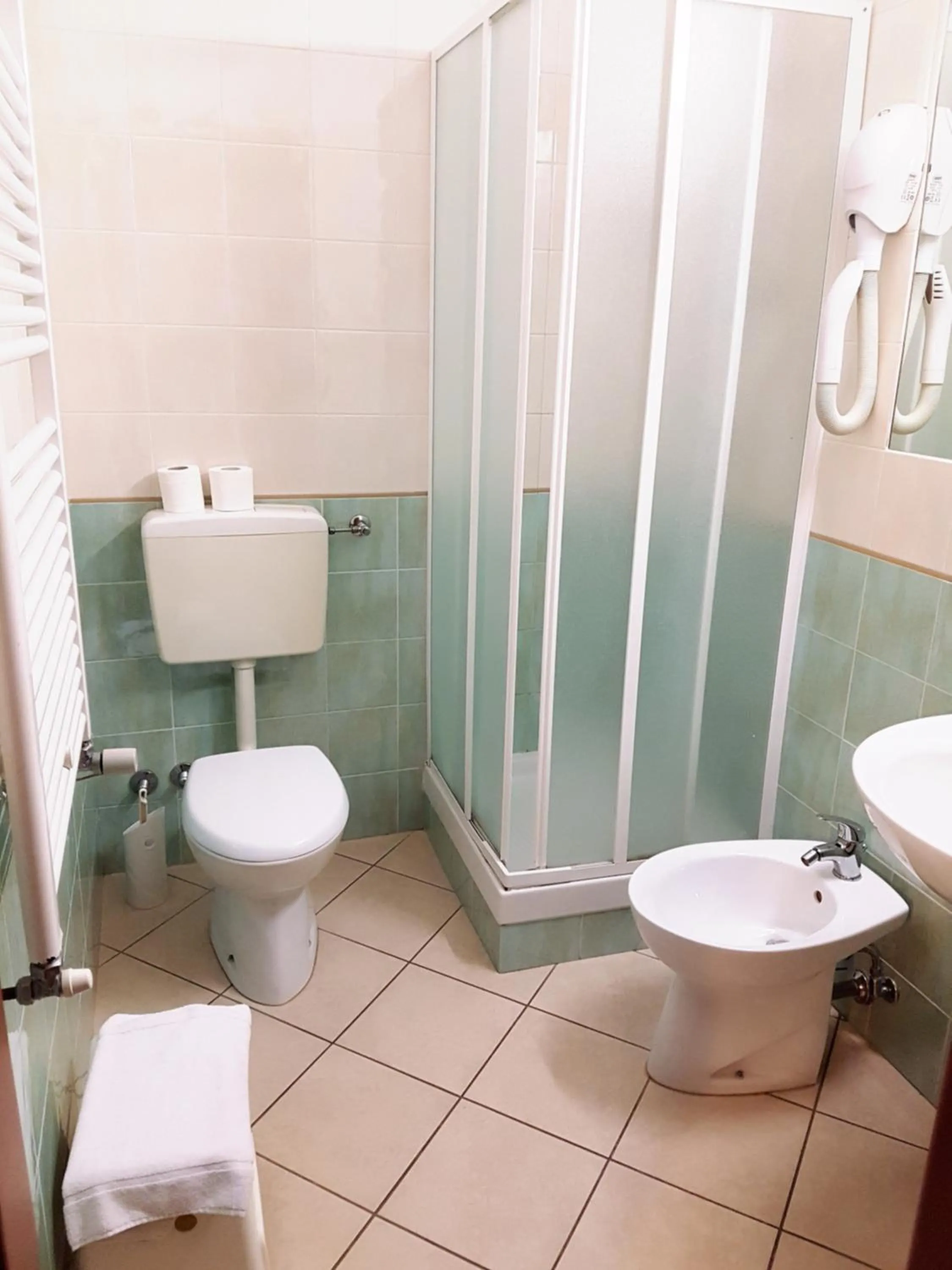 Double or Twin Room in Hotel Bussana