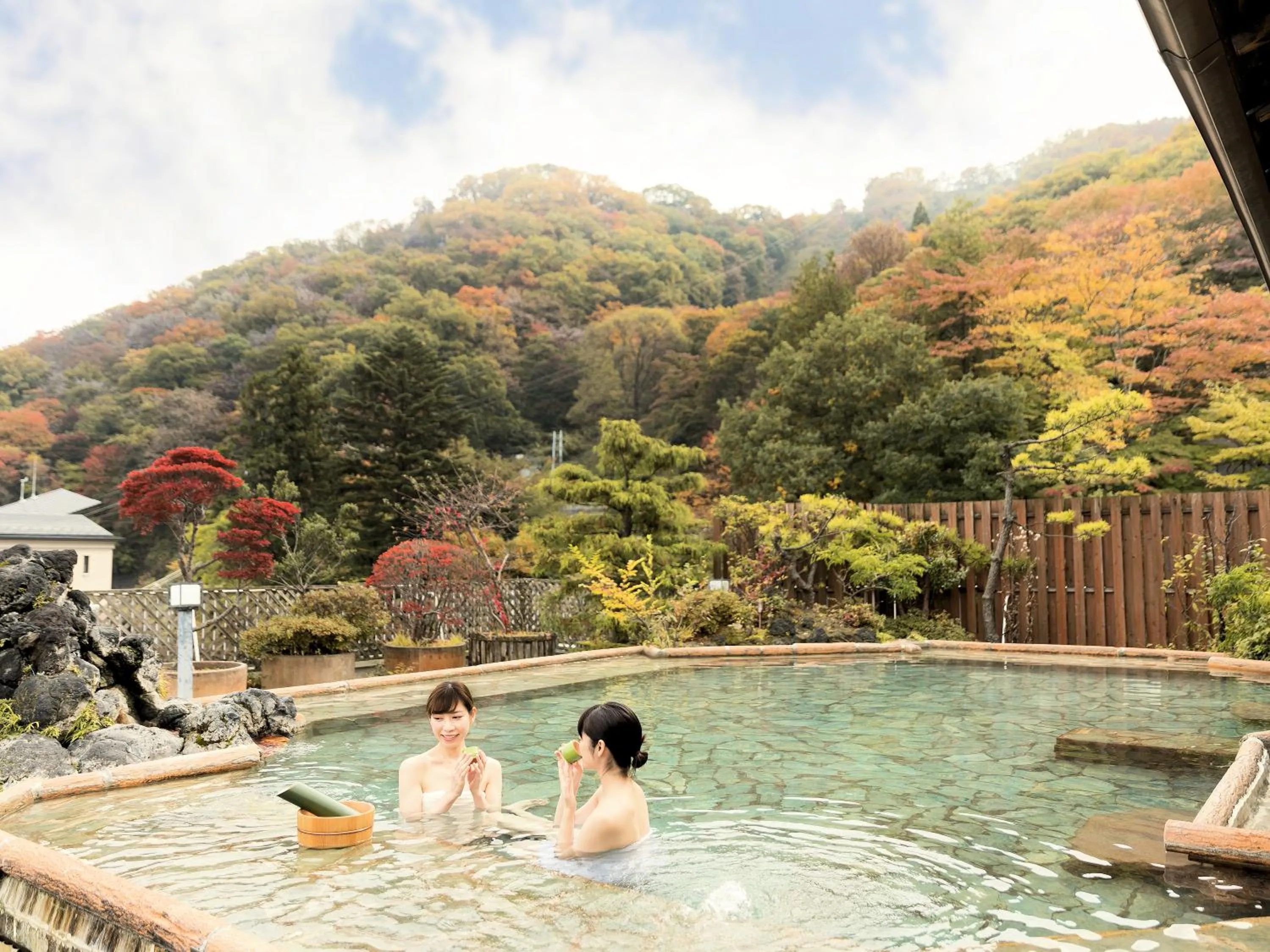 Hot Spring Bath in Omori