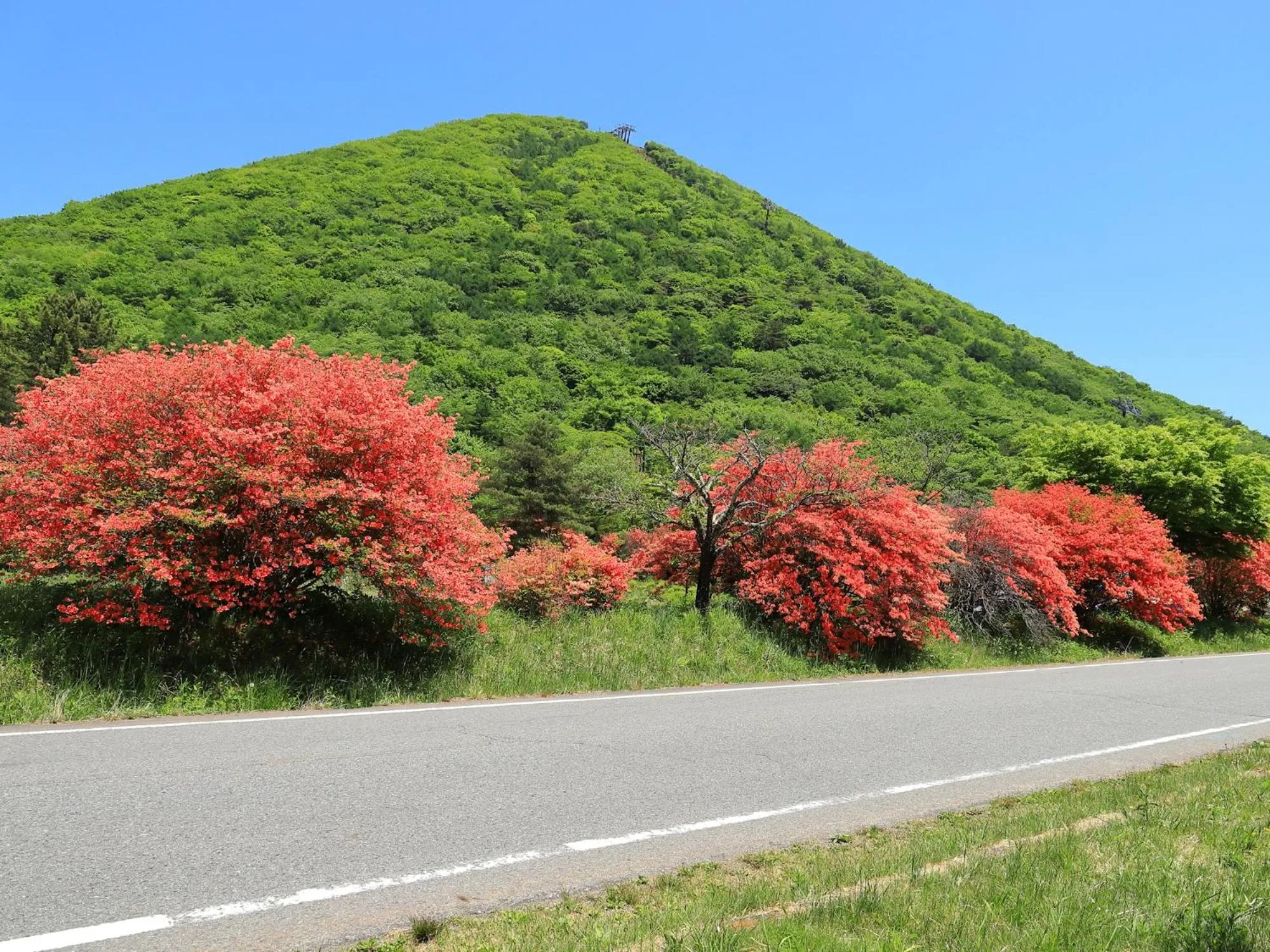 Nearby landmark in Omori