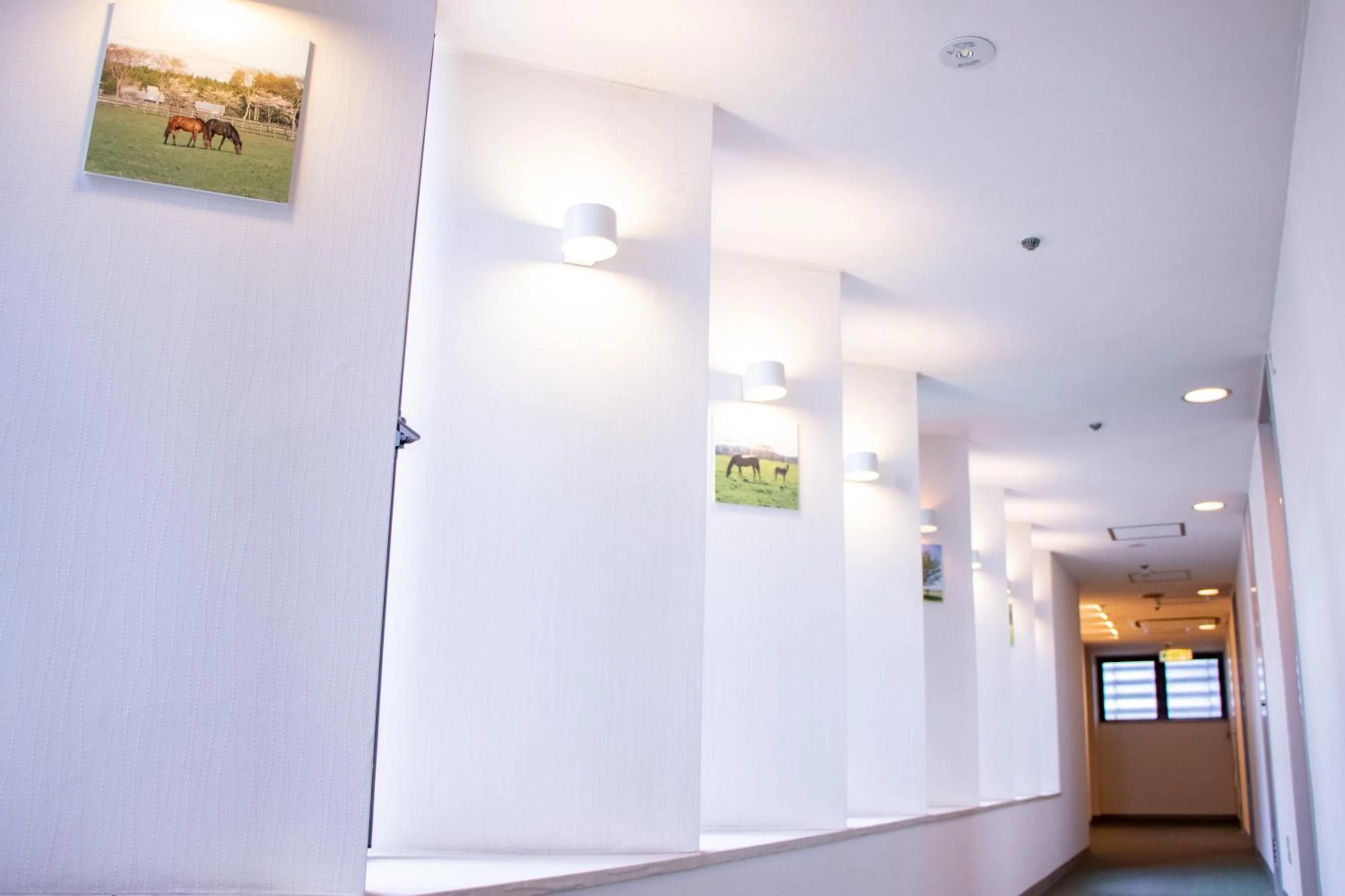 Area and facilities in Hotel Continental Fuchu