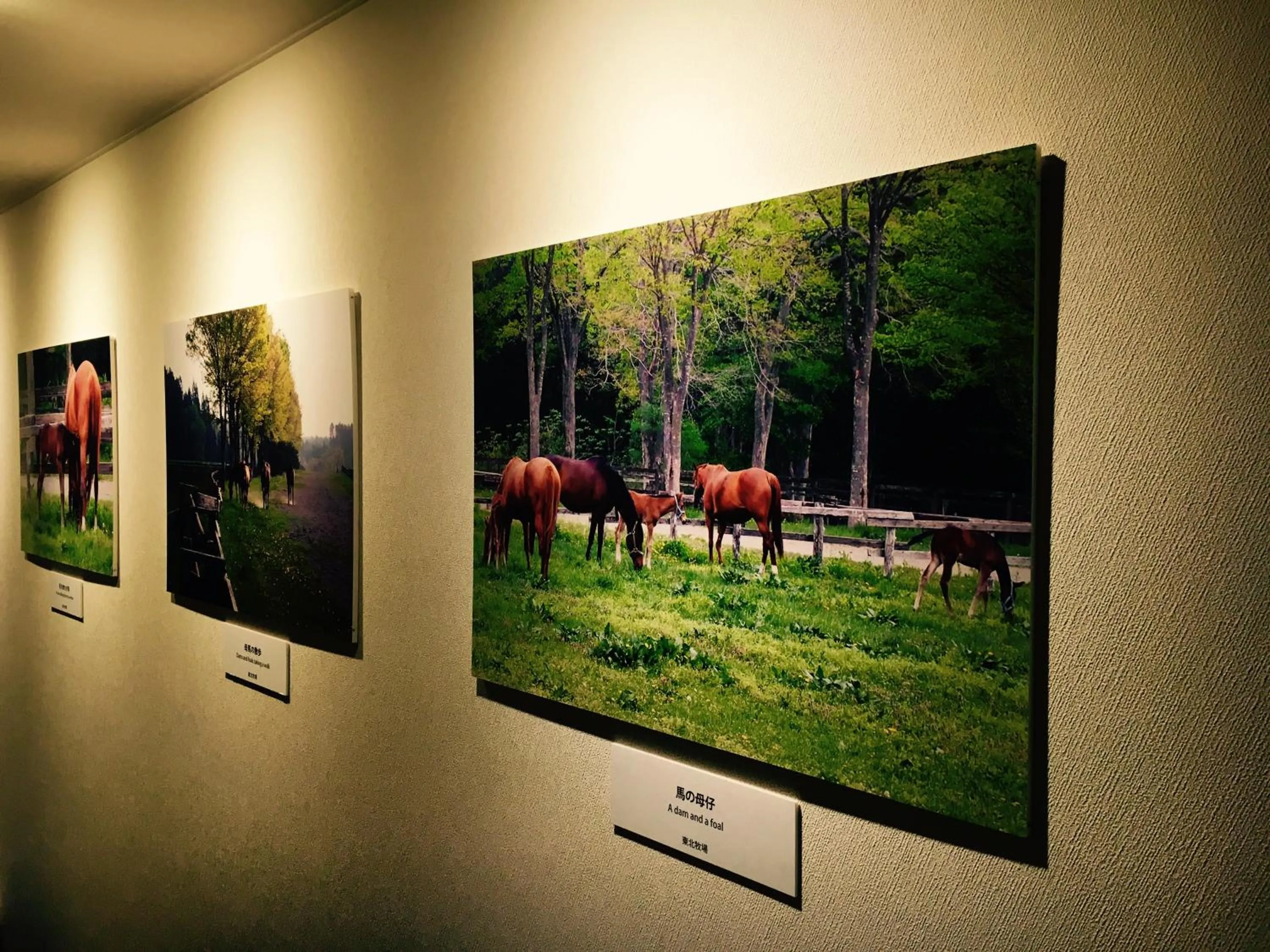 Seating area in Hotel Continental Fuchu