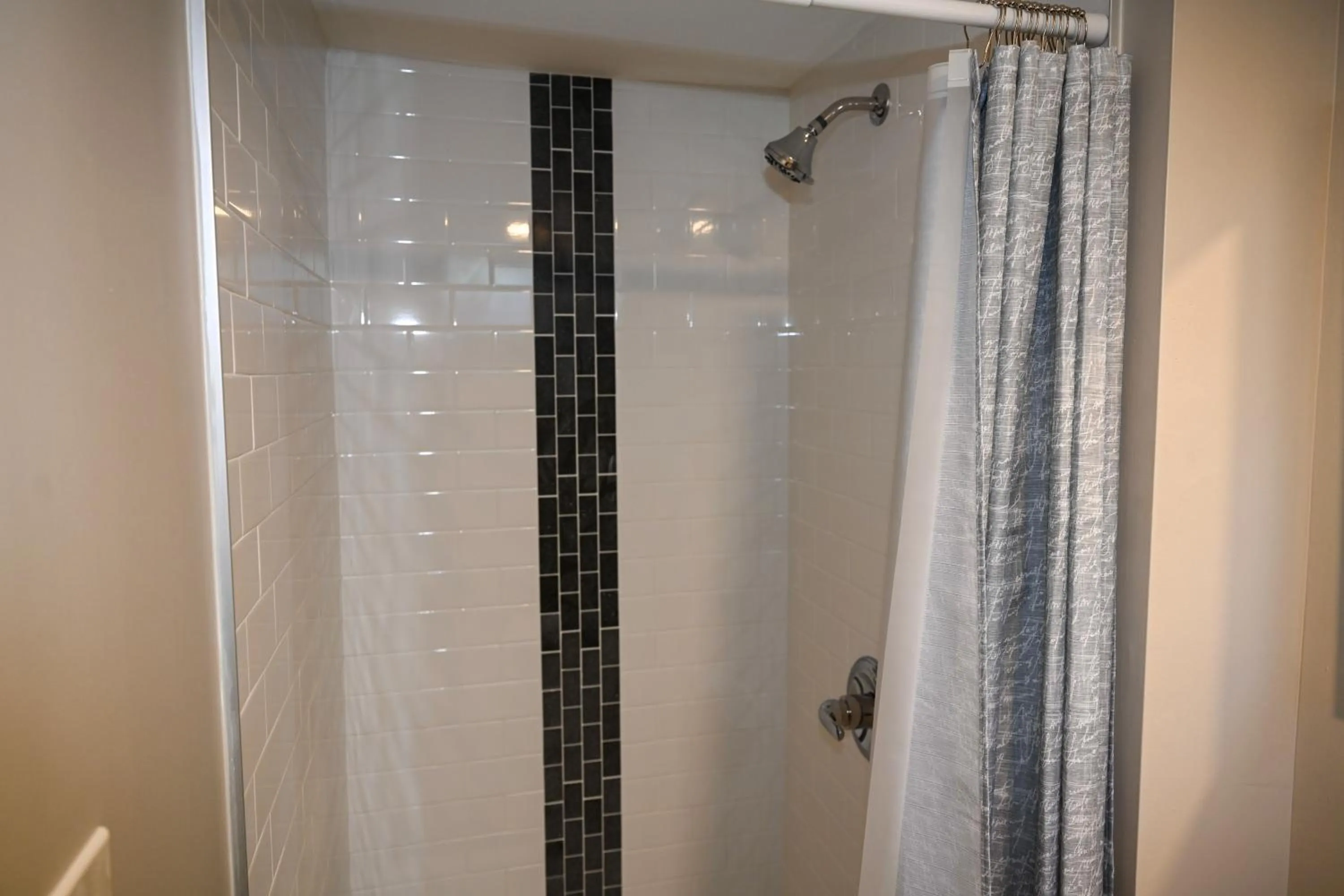 Cozy and Modern 1BR Apartment with WiFi and Dogs Welcome