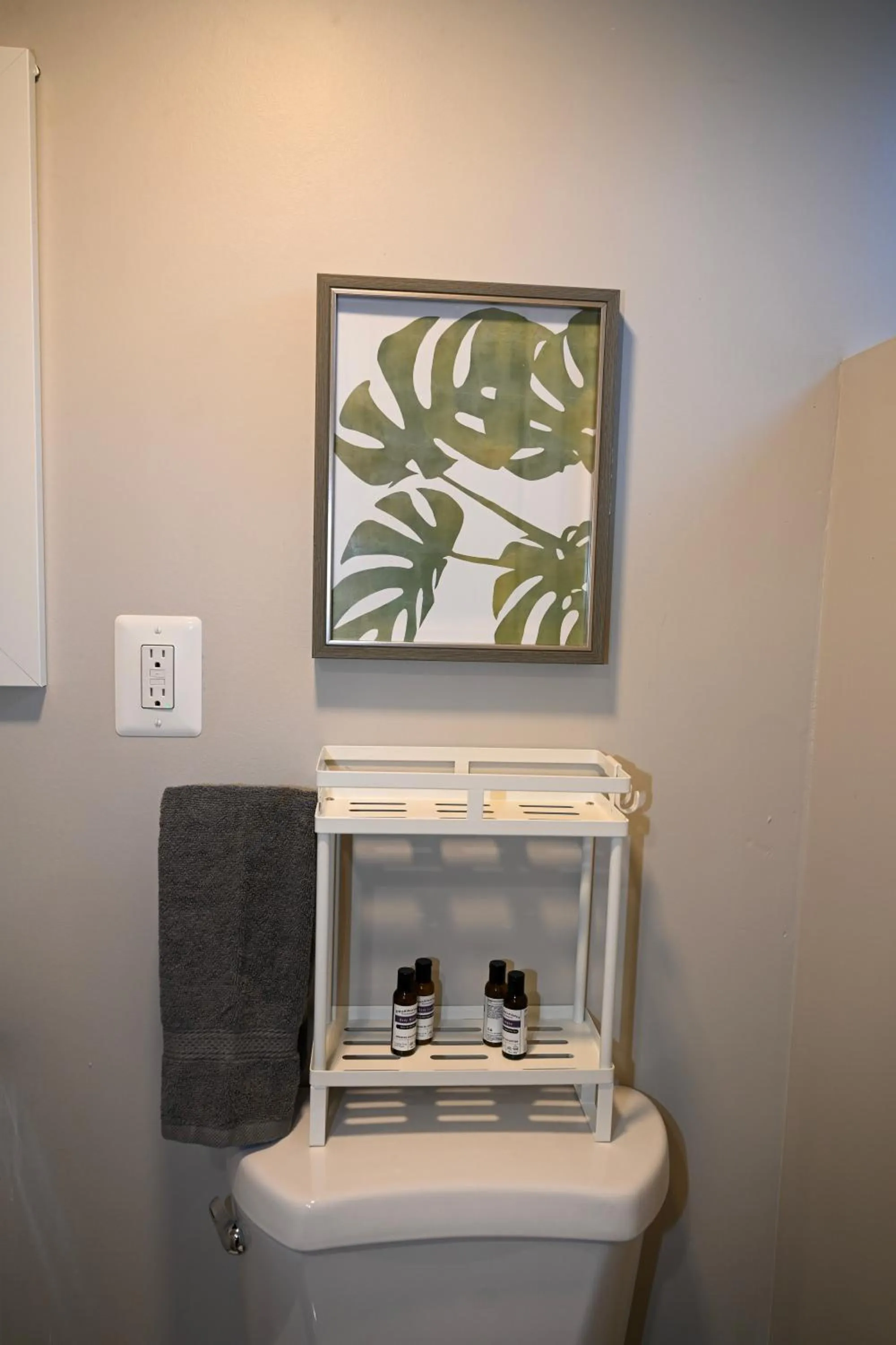 Cozy and Modern 1BR Apartment with WiFi and Dogs Welcome