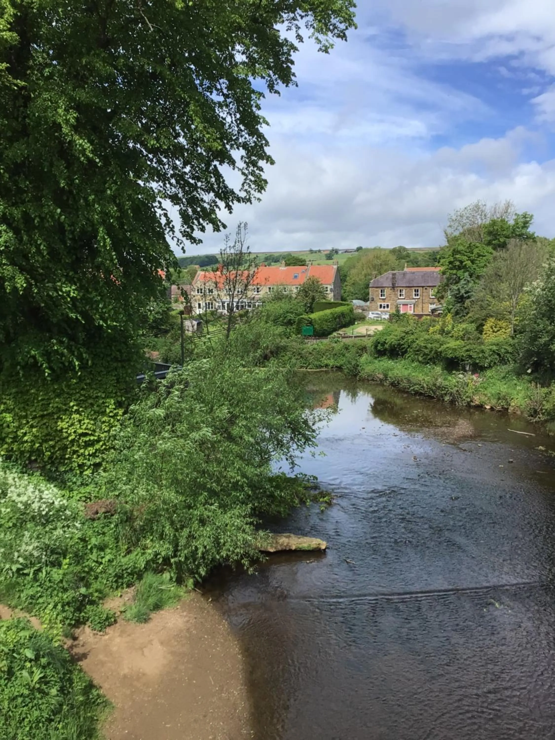 River view in The Board Inn - Lealholm