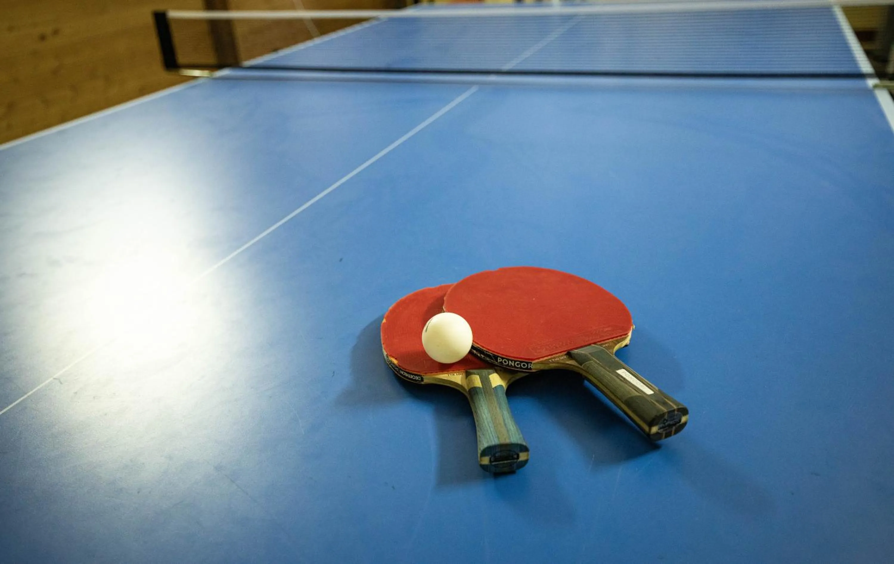 Table tennis in Landhotel Jägerhof