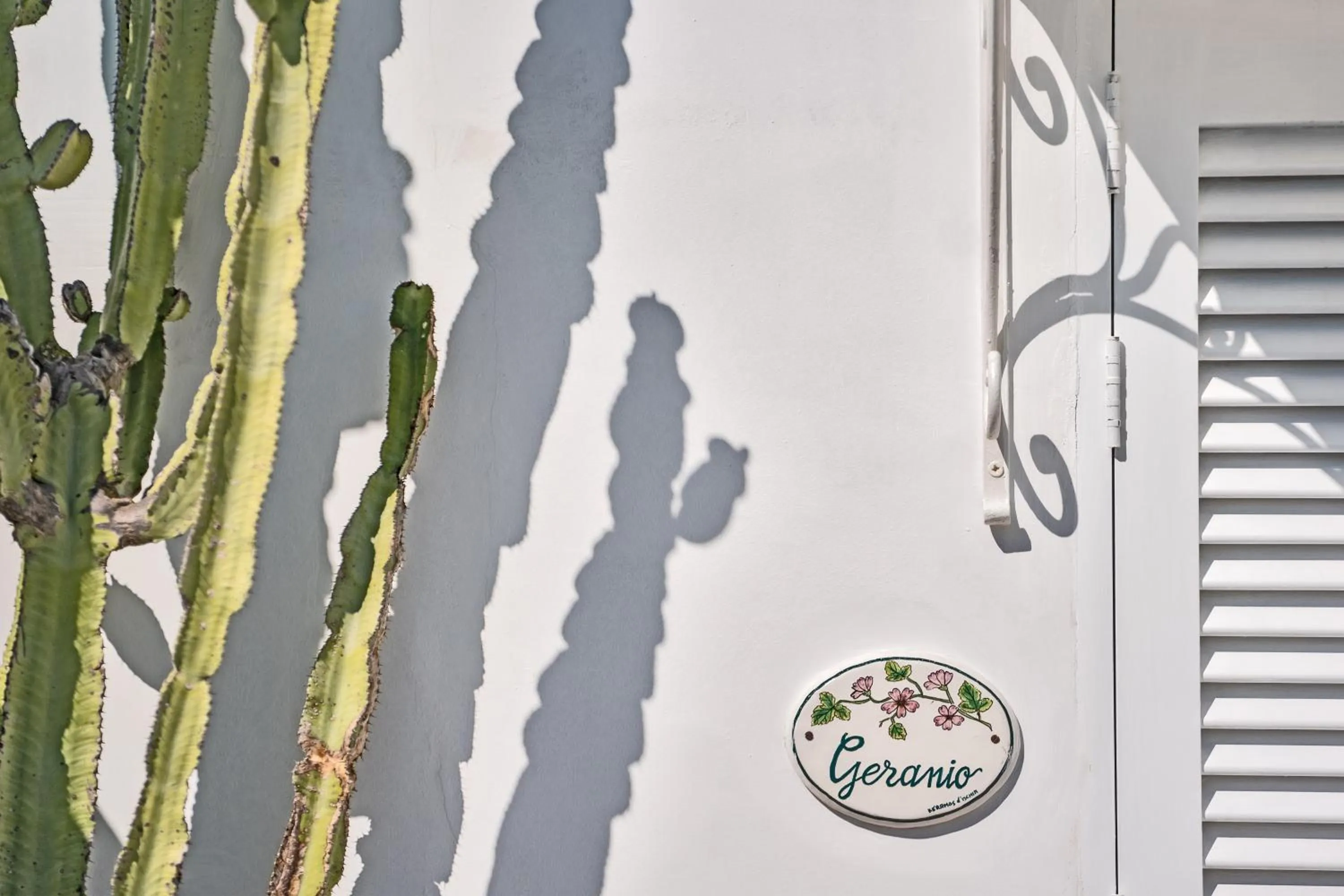 Decorative detail in Palazzo Mosco - Dimora Storica