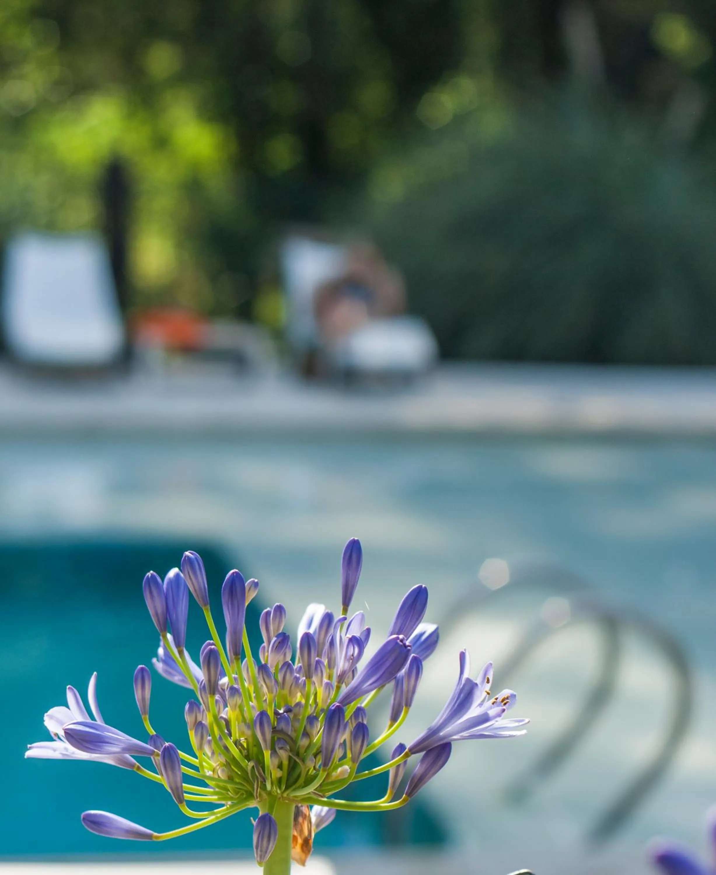 Day in Atelier Hotel de Charme