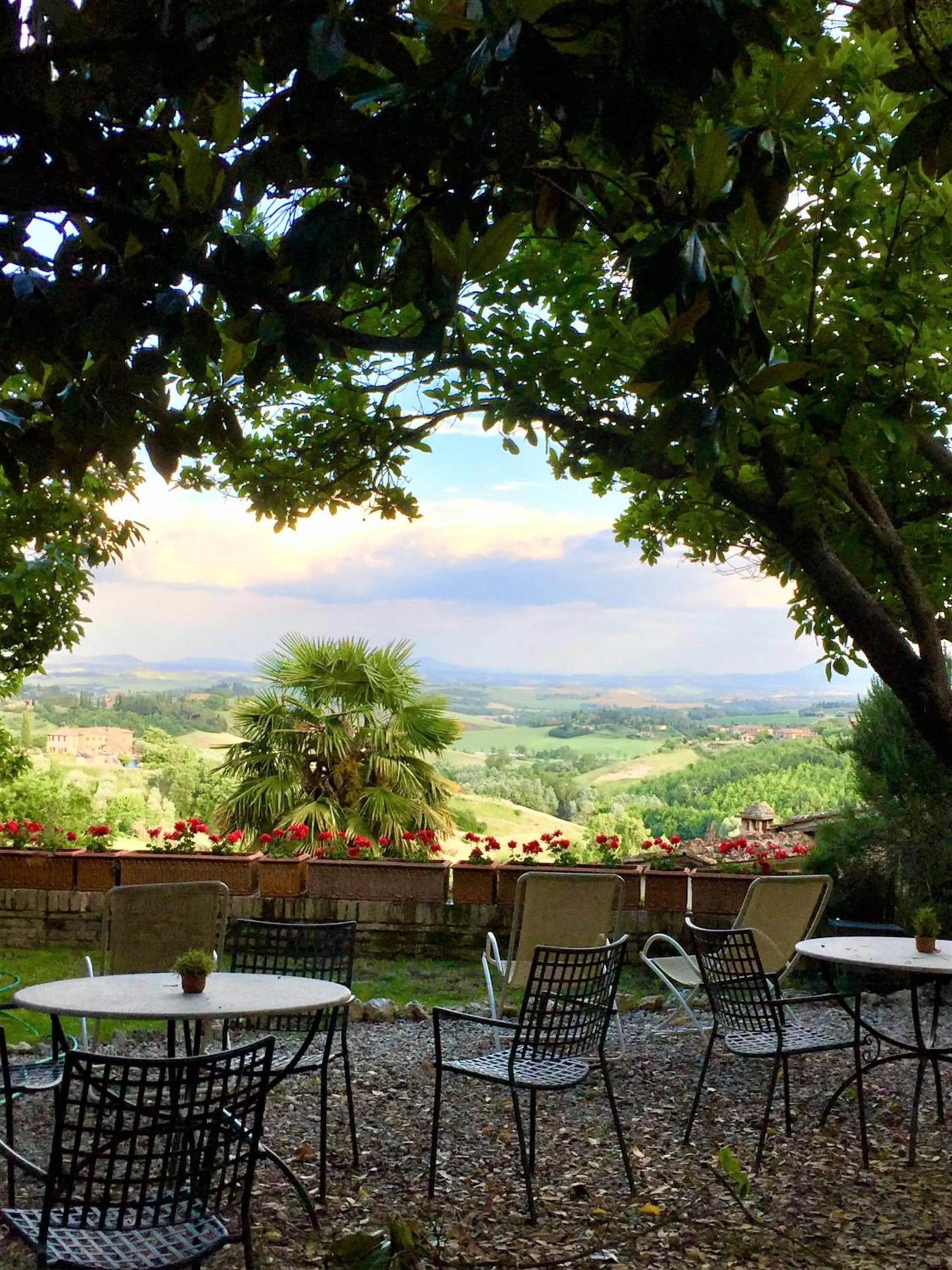 Garden in Hotel Santa Caterina