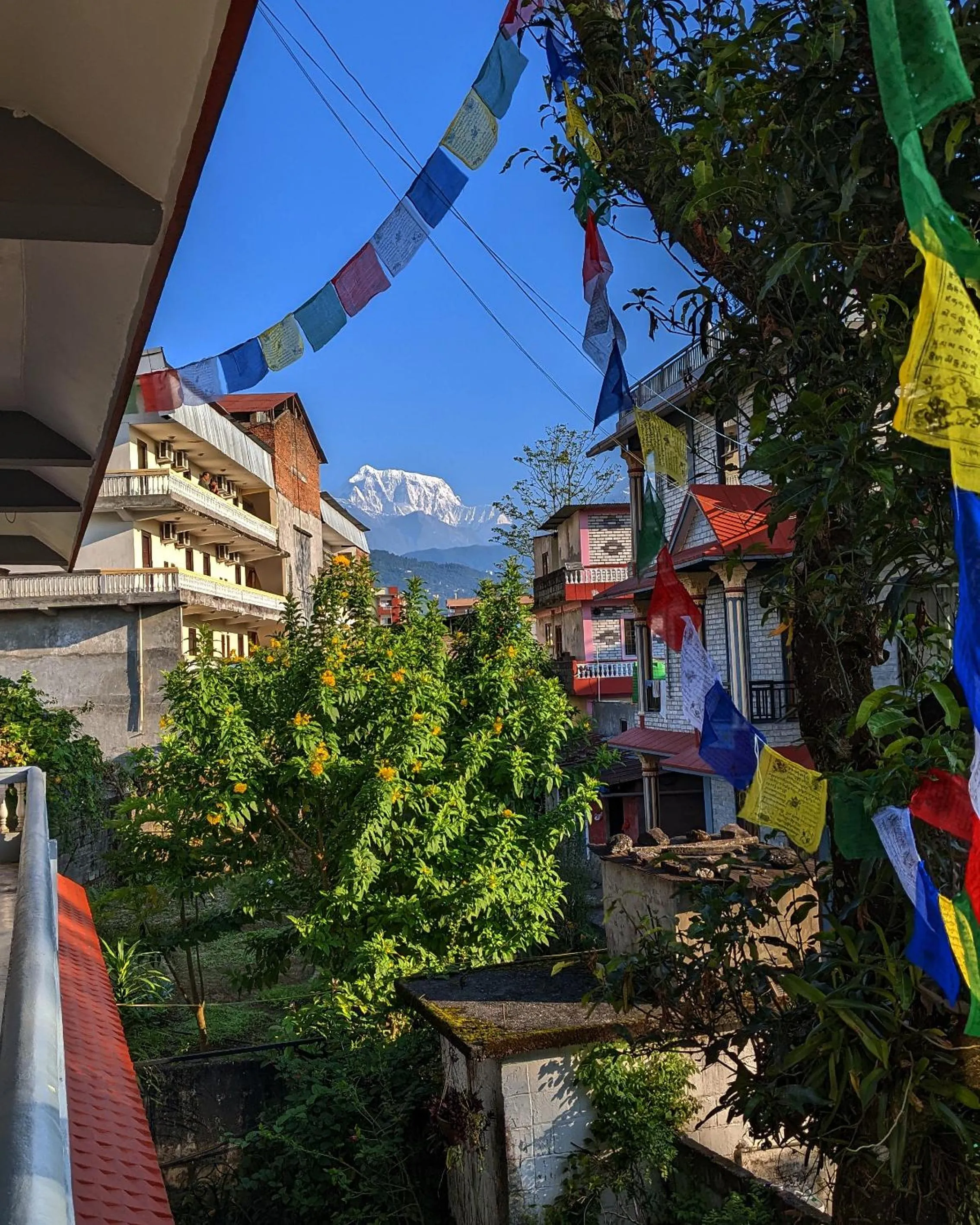 Garden view in Hotel Mountain View - Lakeside Pokhara