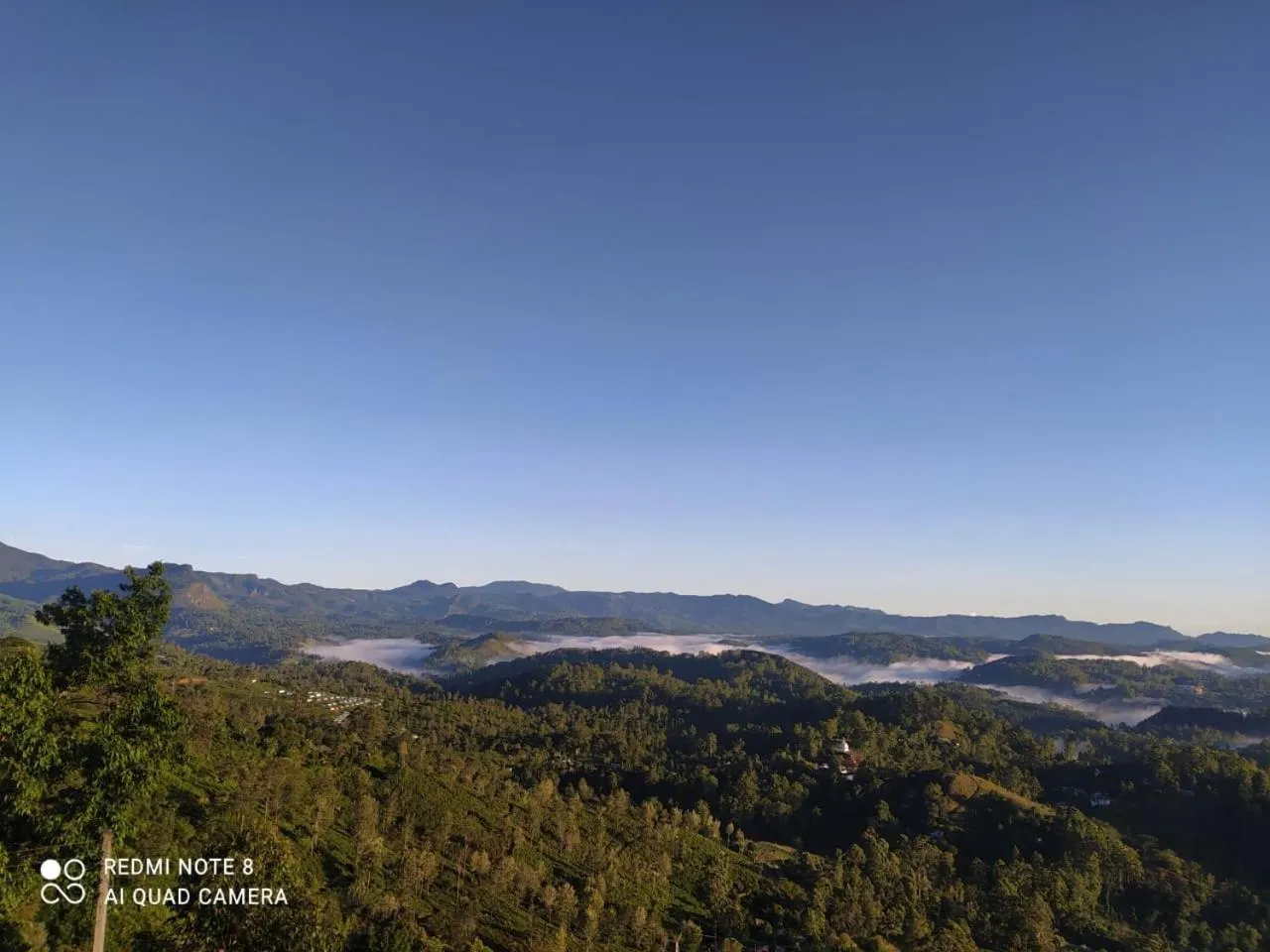 View (from property/room) in White Home