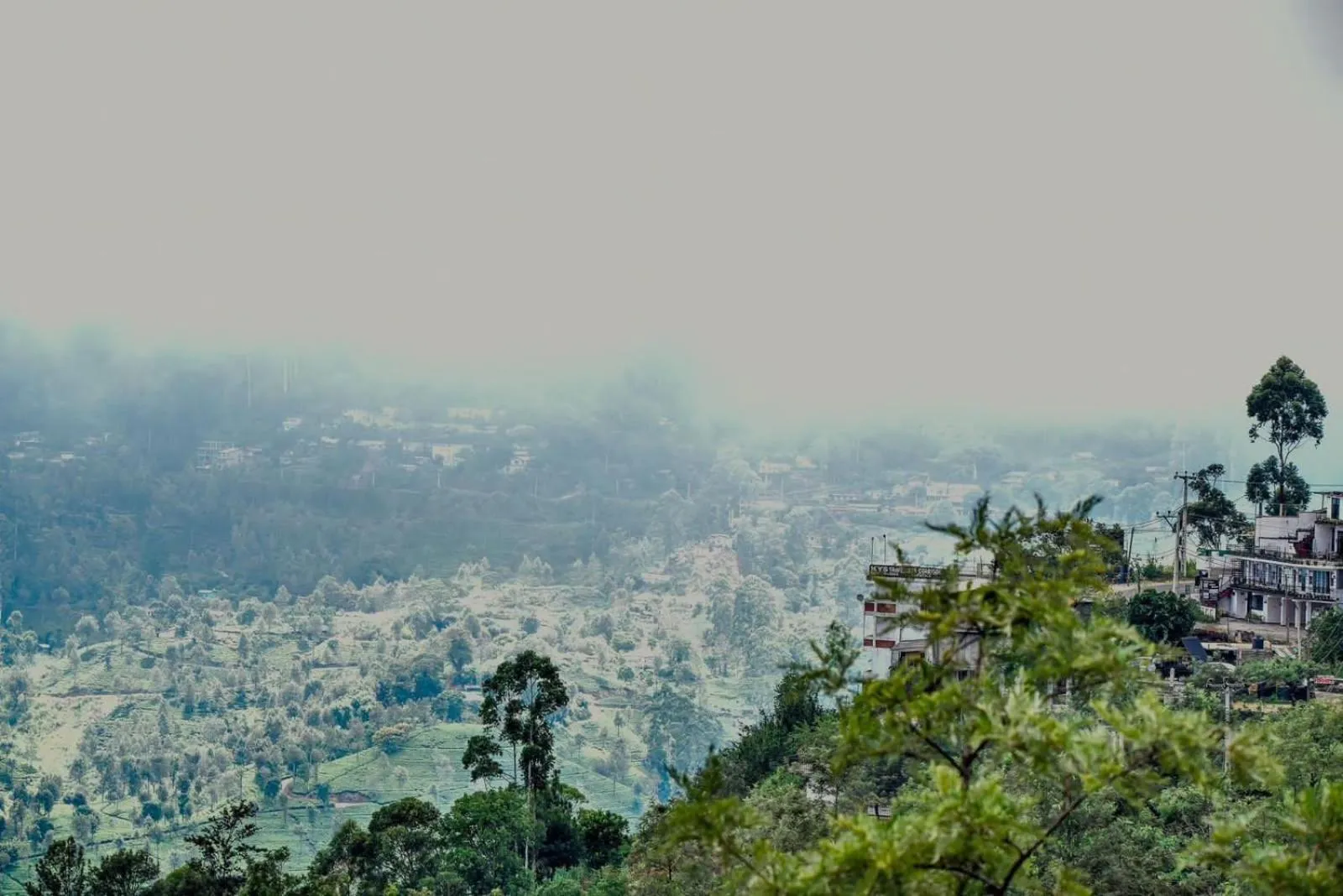 View (from property/room) in White Home