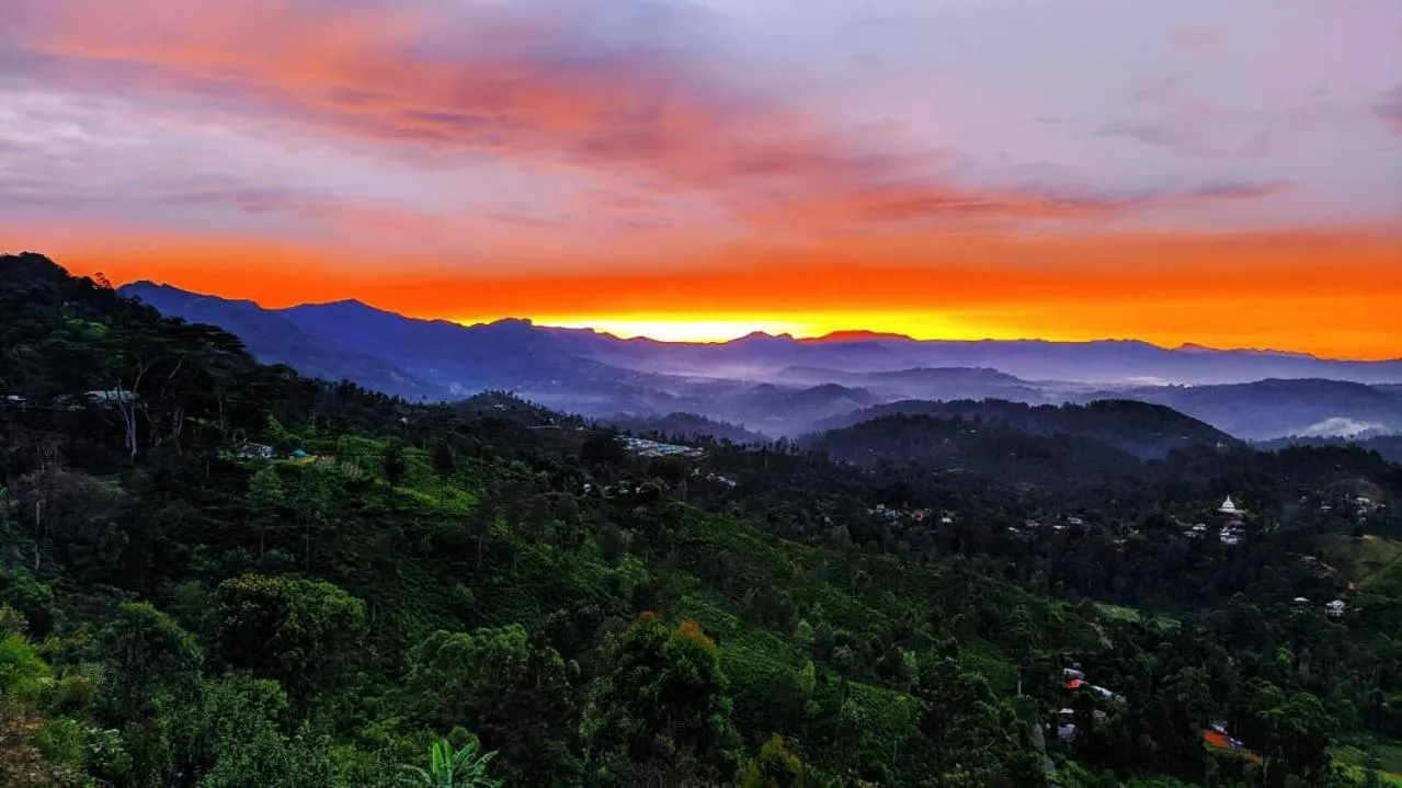 View (from property/room) in White Home